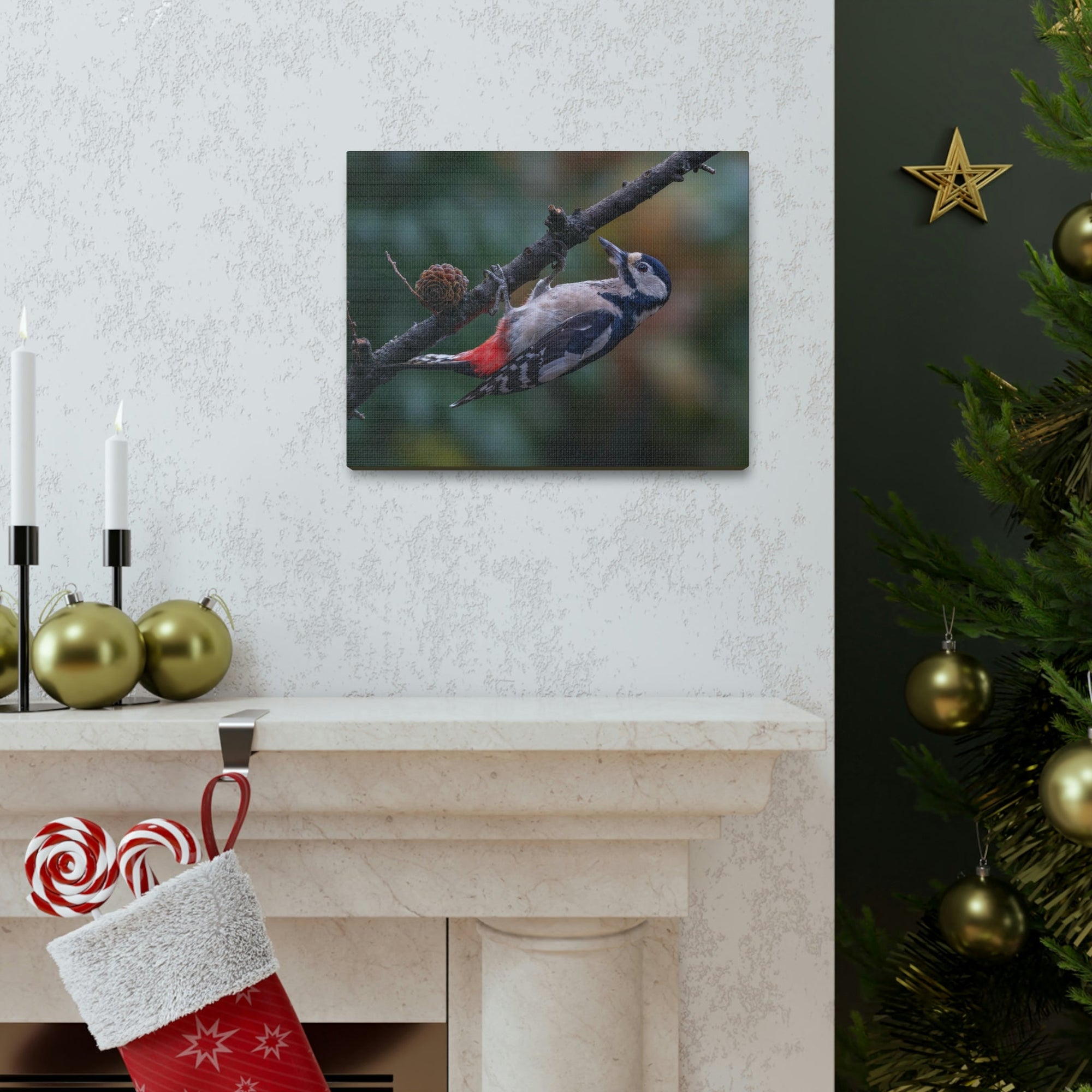 Scripture Walls Woodpecker Hunting Woodpecker on Hunt Print Animal Wall Art Wildlife Canvas Prints Wall Art Ready to Hang Unframed-Express Your Love Gifts