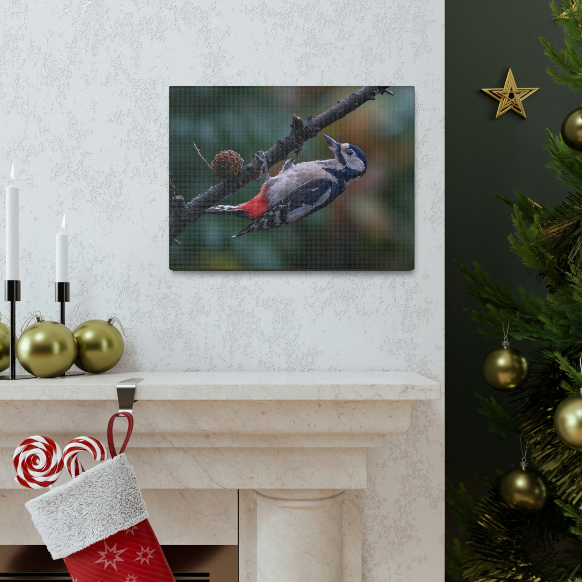 Scripture Walls Woodpecker Hunting Woodpecker on Hunt Print Animal Wall Art Wildlife Canvas Prints Wall Art Ready to Hang Unframed-Express Your Love Gifts