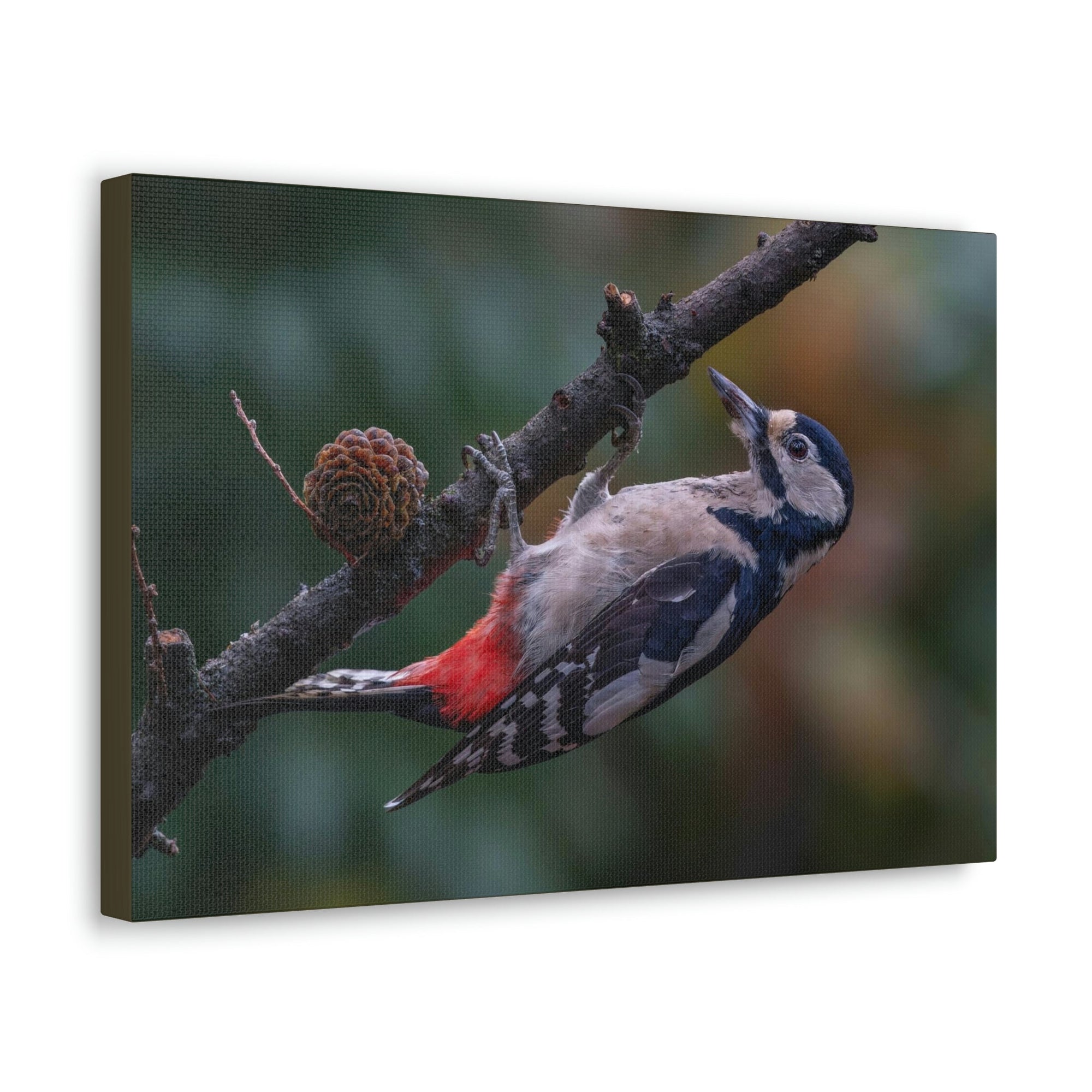 Scripture Walls Woodpecker Hunting Woodpecker on Hunt Print Animal Wall Art Wildlife Canvas Prints Wall Art Ready to Hang Unframed-Express Your Love Gifts