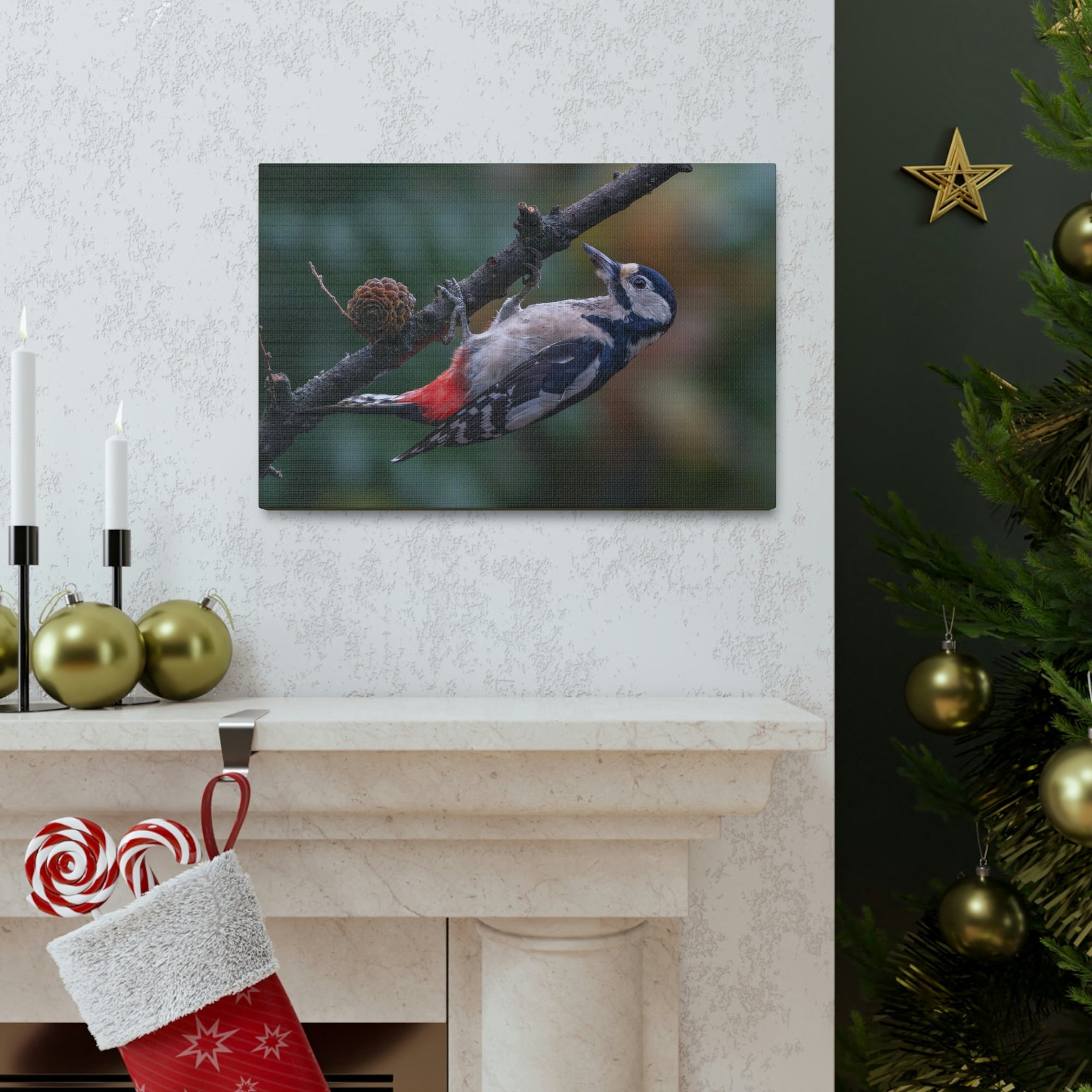 Scripture Walls Woodpecker Hunting Woodpecker on Hunt Print Animal Wall Art Wildlife Canvas Prints Wall Art Ready to Hang Unframed-Express Your Love Gifts