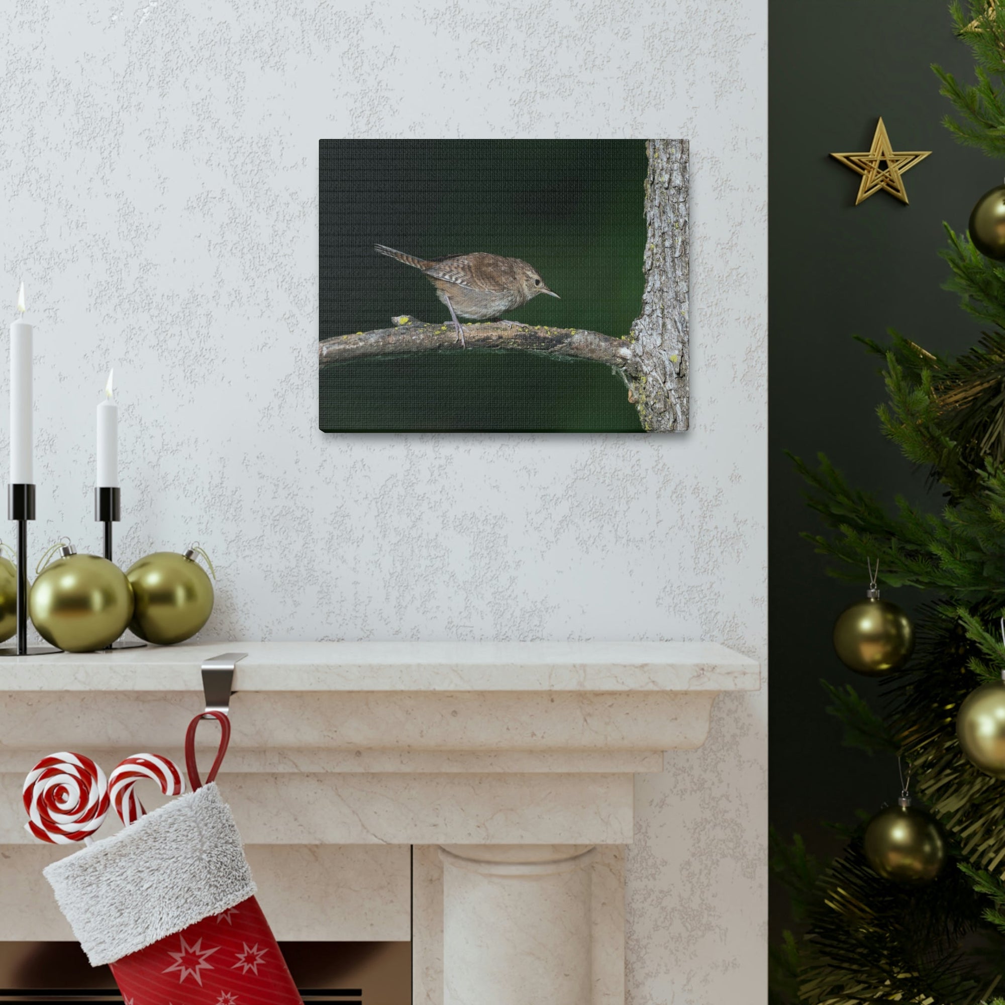 Scripture Walls Wren Hunting Wren on Hunt Print Animal Wall Art Wildlife Canvas Prints Wall Art Ready to Hang Unframed-Express Your Love Gifts