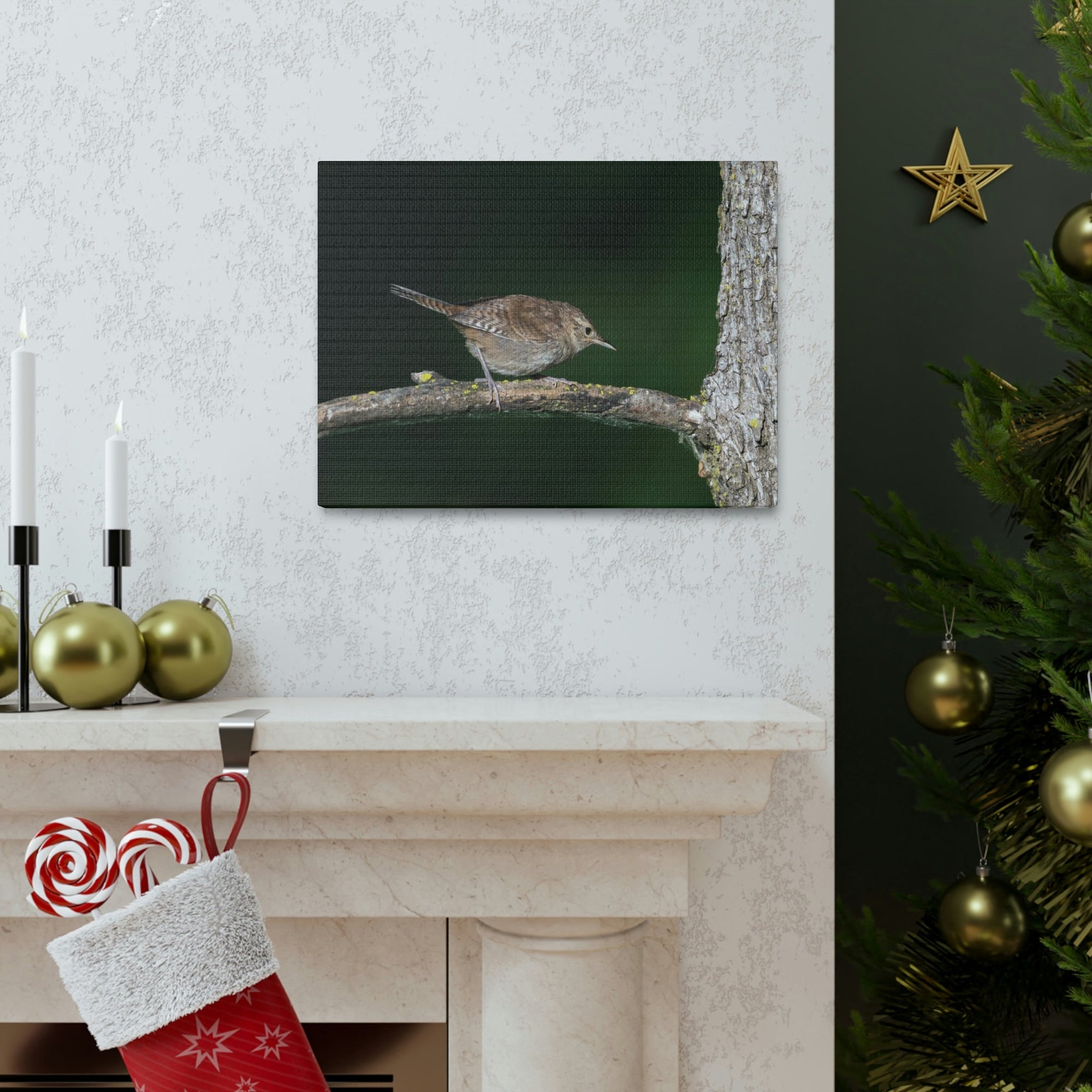 Scripture Walls Wren Hunting Wren on Hunt Print Animal Wall Art Wildlife Canvas Prints Wall Art Ready to Hang Unframed-Express Your Love Gifts