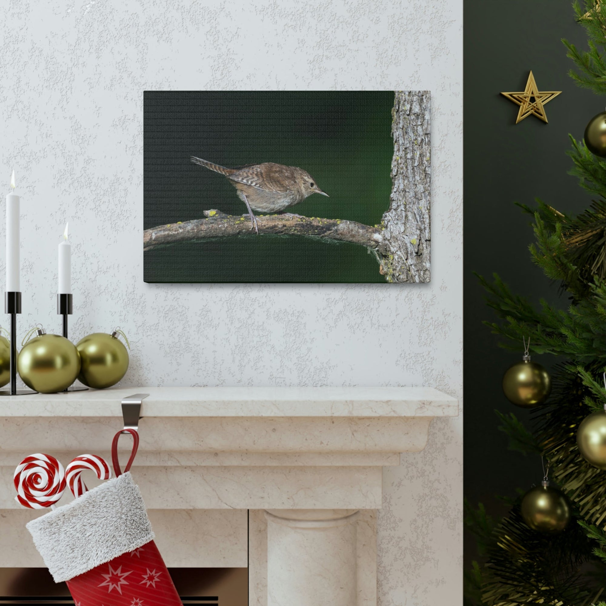 Scripture Walls Wren Hunting Wren on Hunt Print Animal Wall Art Wildlife Canvas Prints Wall Art Ready to Hang Unframed-Express Your Love Gifts