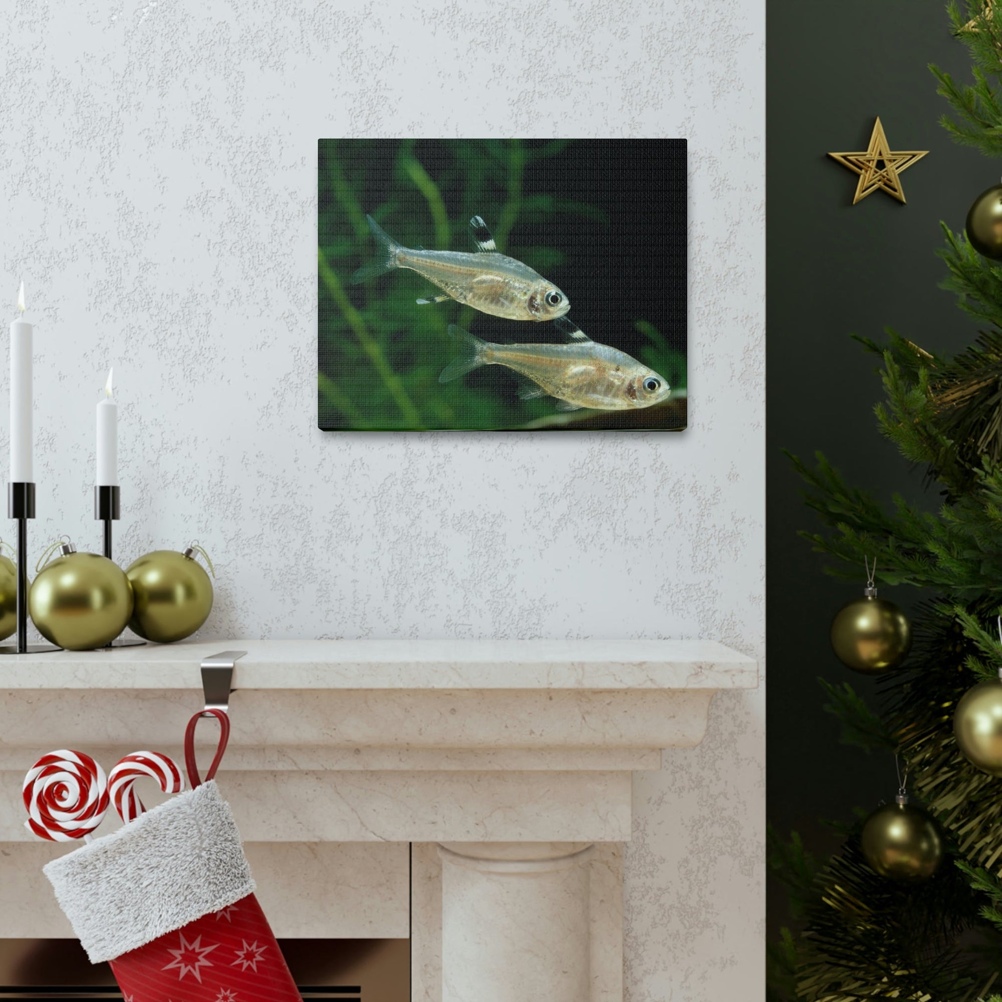 Scripture Walls X-ray Fish Couple X-ray Fish Couple Print Animal Wall Art Wildlife Canvas Prints Wall Art Ready to Hang Unframed-Express Your Love Gifts