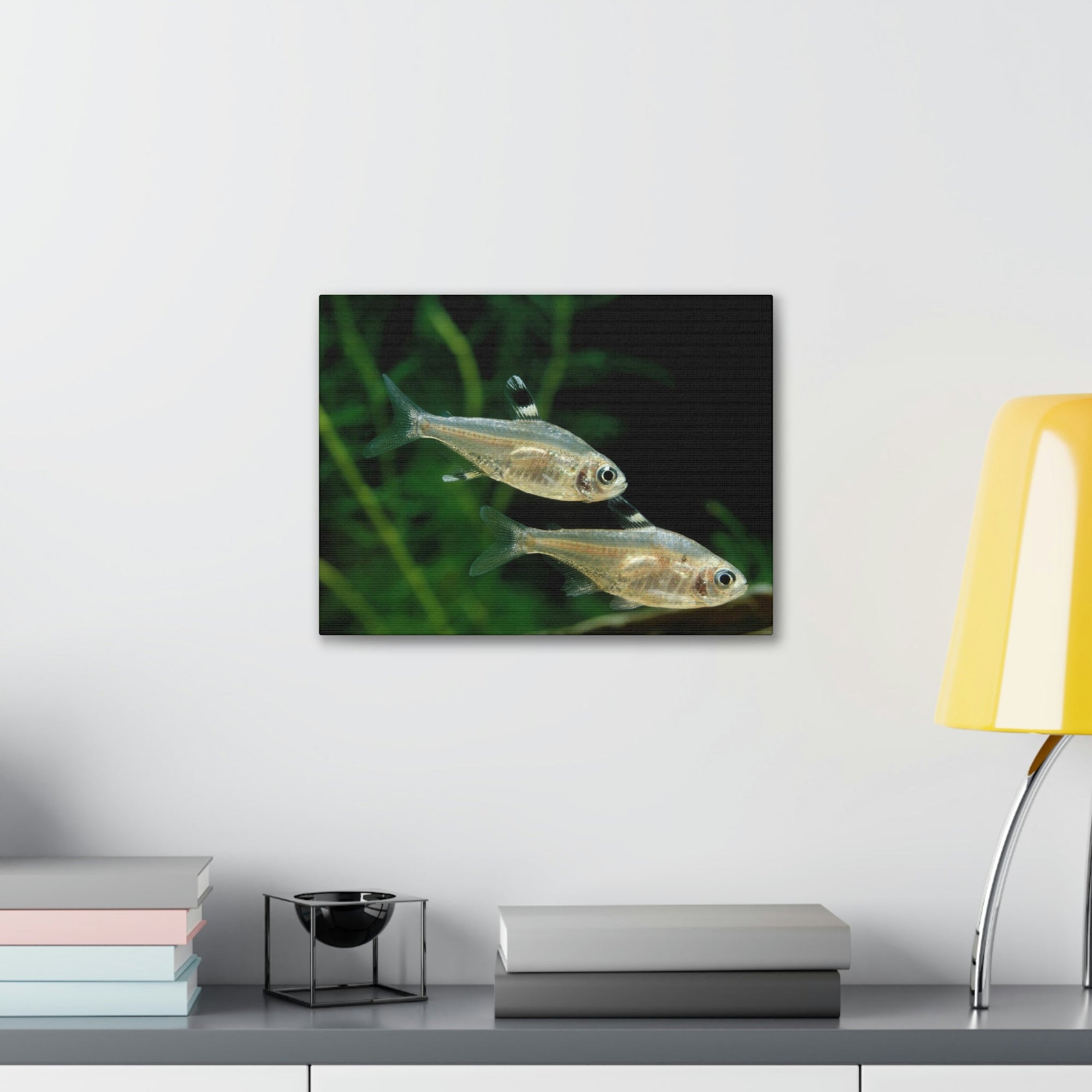 Scripture Walls X-ray Fish Couple X-ray Fish Couple Print Animal Wall Art Wildlife Canvas Prints Wall Art Ready to Hang Unframed-Express Your Love Gifts