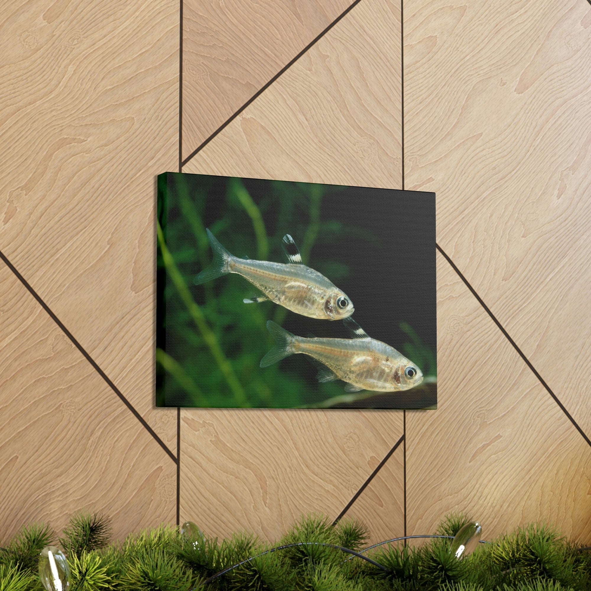 Scripture Walls X-ray Fish Couple X-ray Fish Couple Print Animal Wall Art Wildlife Canvas Prints Wall Art Ready to Hang Unframed-Express Your Love Gifts