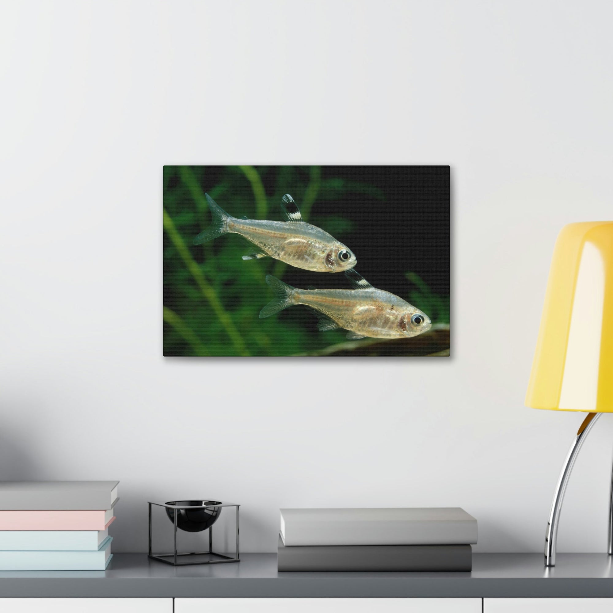 Scripture Walls X-ray Fish Couple X-ray Fish Couple Print Animal Wall Art Wildlife Canvas Prints Wall Art Ready to Hang Unframed-Express Your Love Gifts