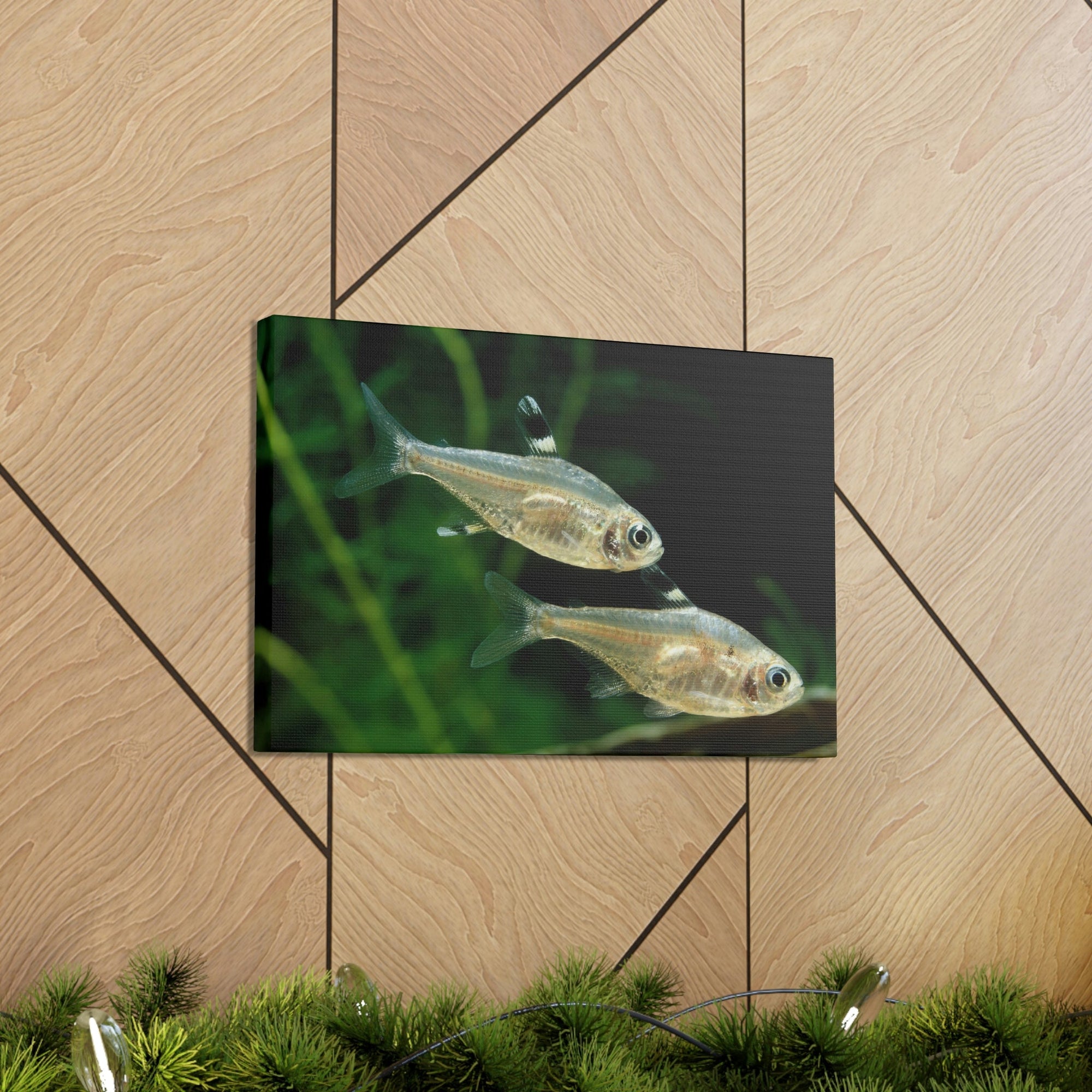 Scripture Walls X-ray Fish Couple X-ray Fish Couple Print Animal Wall Art Wildlife Canvas Prints Wall Art Ready to Hang Unframed-Express Your Love Gifts