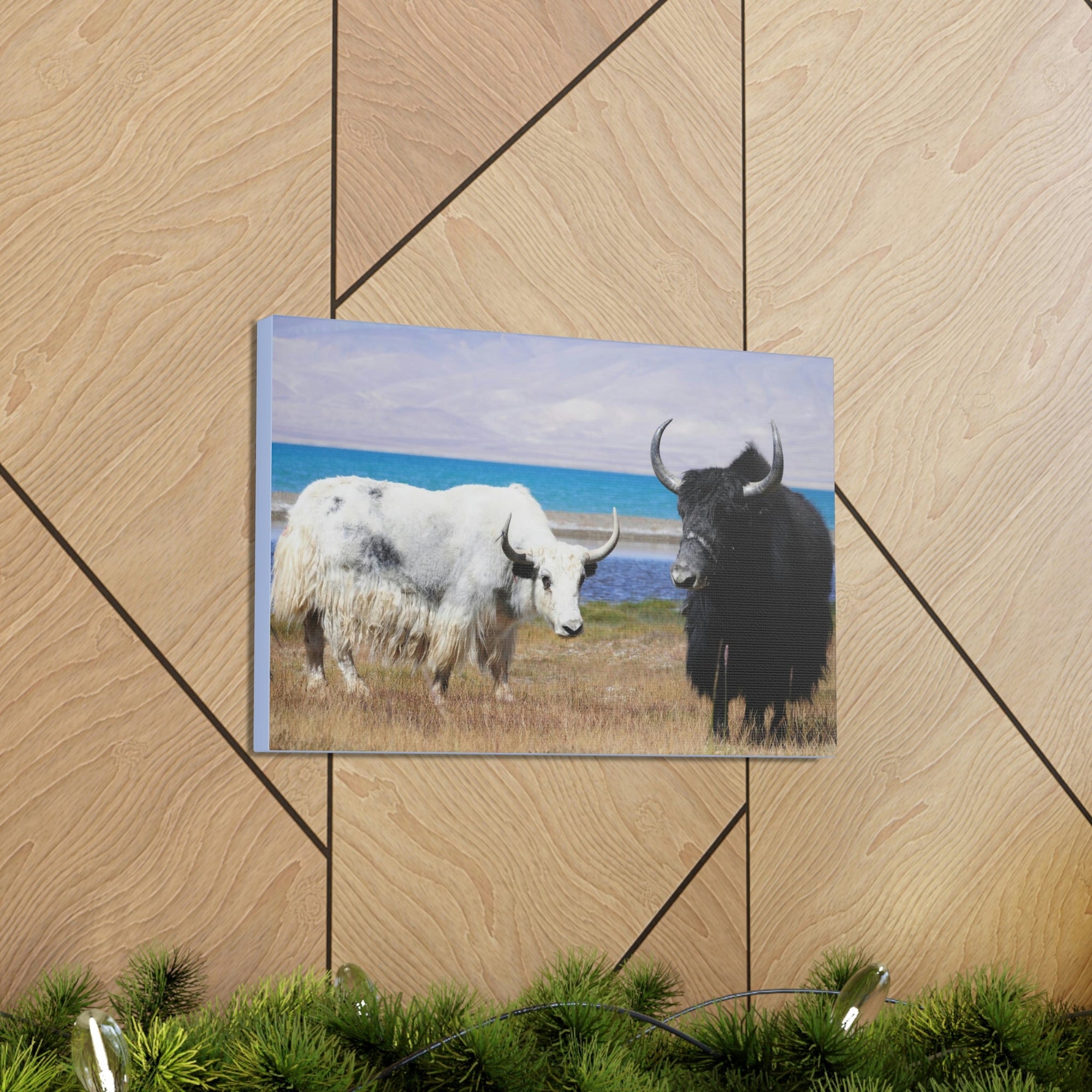 Scripture Walls Yak Couple Yak Couple Print Animal Wall Art Wildlife Canvas Prints Wall Art Ready to Hang Unframed-Express Your Love Gifts