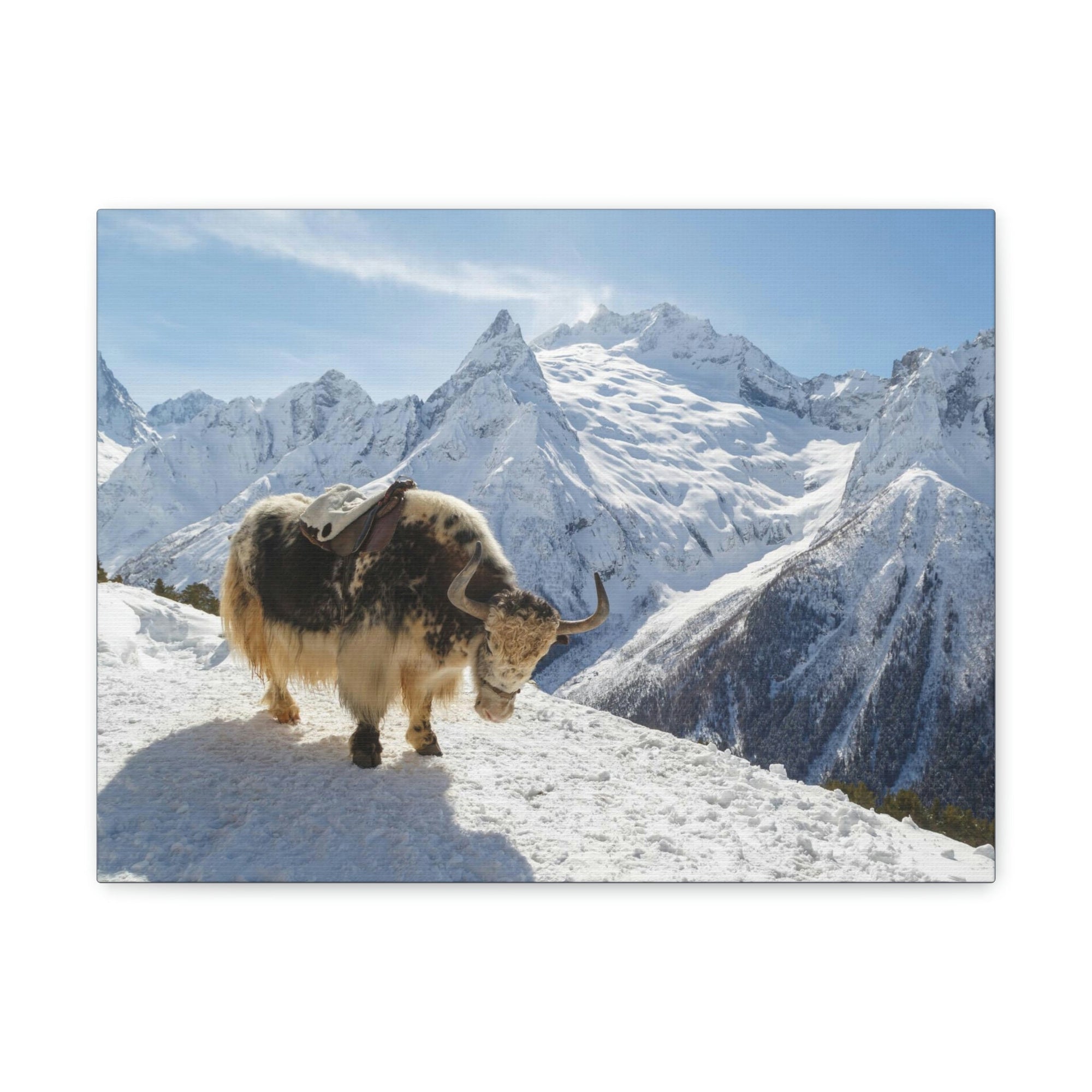 Scripture Walls Yak Hunting Yak on Hunt Print Animal Wall Art Wildlife Canvas Prints Wall Art Ready to Hang Unframed-Express Your Love Gifts