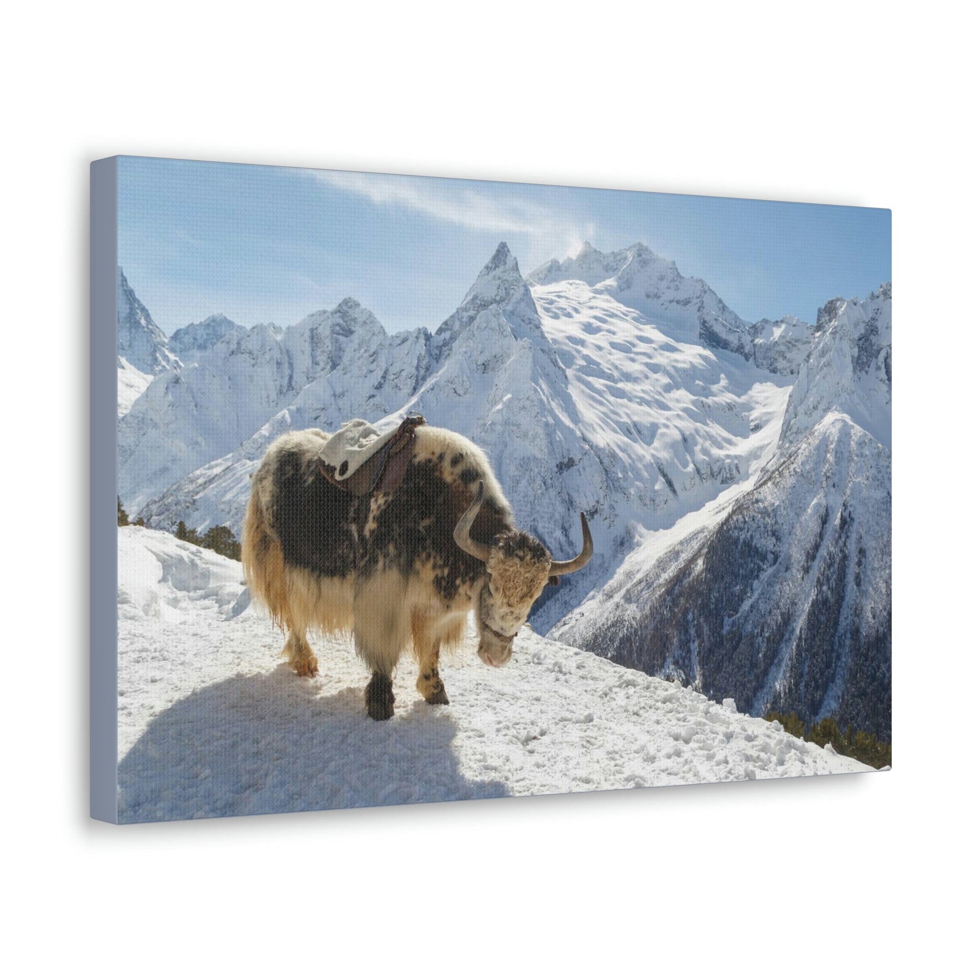 Scripture Walls Yak Hunting Yak on Hunt Print Animal Wall Art Wildlife Canvas Prints Wall Art Ready to Hang Unframed-Express Your Love Gifts