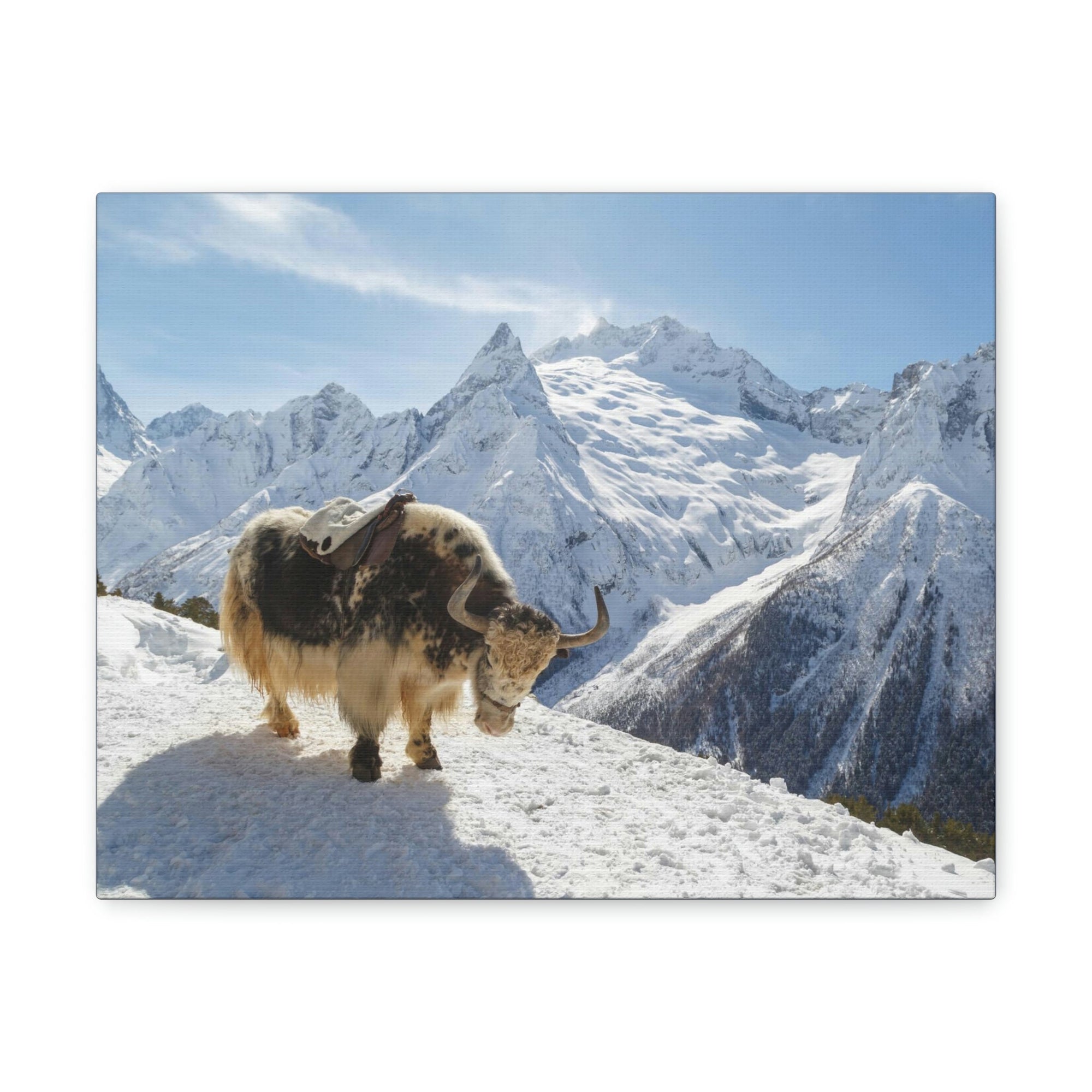 Scripture Walls Yak Hunting Yak on Hunt Print Animal Wall Art Wildlife Canvas Prints Wall Art Ready to Hang Unframed-Express Your Love Gifts