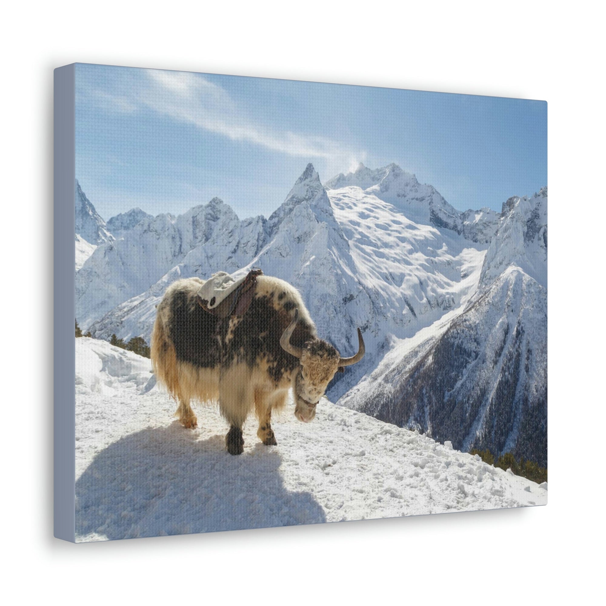 Scripture Walls Yak Hunting Yak on Hunt Print Animal Wall Art Wildlife Canvas Prints Wall Art Ready to Hang Unframed-Express Your Love Gifts