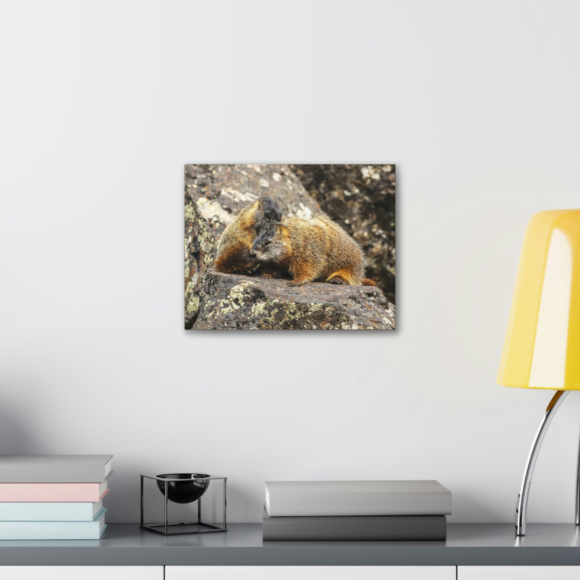 Scripture Walls Yellow Bellied Marmot Couple Yellow Bellied Marmot Couple Print Animal Wall Art Wildlife Canvas Prints Wall Art Ready to Hang Unframed-Express Your Love Gifts