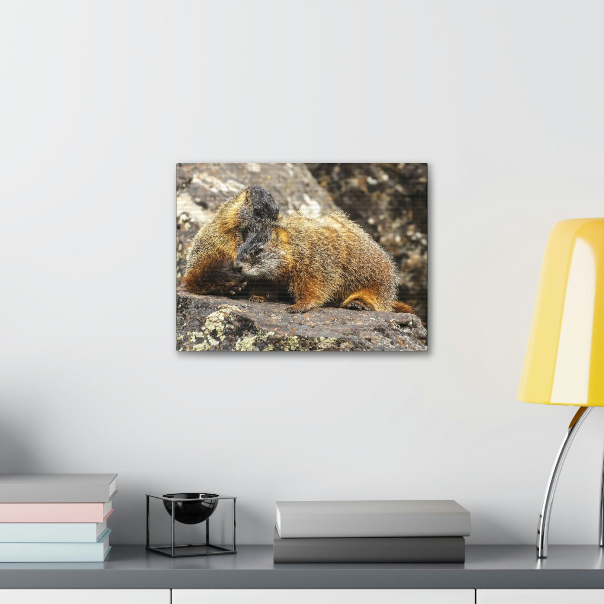 Scripture Walls Yellow Bellied Marmot Couple Yellow Bellied Marmot Couple Print Animal Wall Art Wildlife Canvas Prints Wall Art Ready to Hang Unframed-Express Your Love Gifts