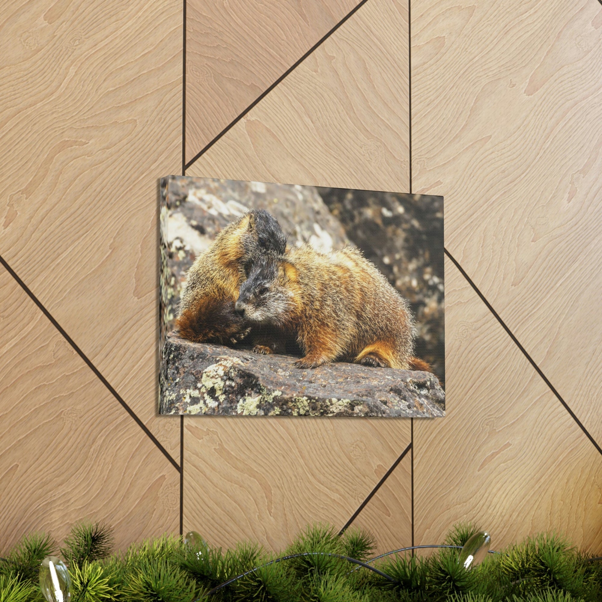 Scripture Walls Yellow Bellied Marmot Couple Yellow Bellied Marmot Couple Print Animal Wall Art Wildlife Canvas Prints Wall Art Ready to Hang Unframed-Express Your Love Gifts