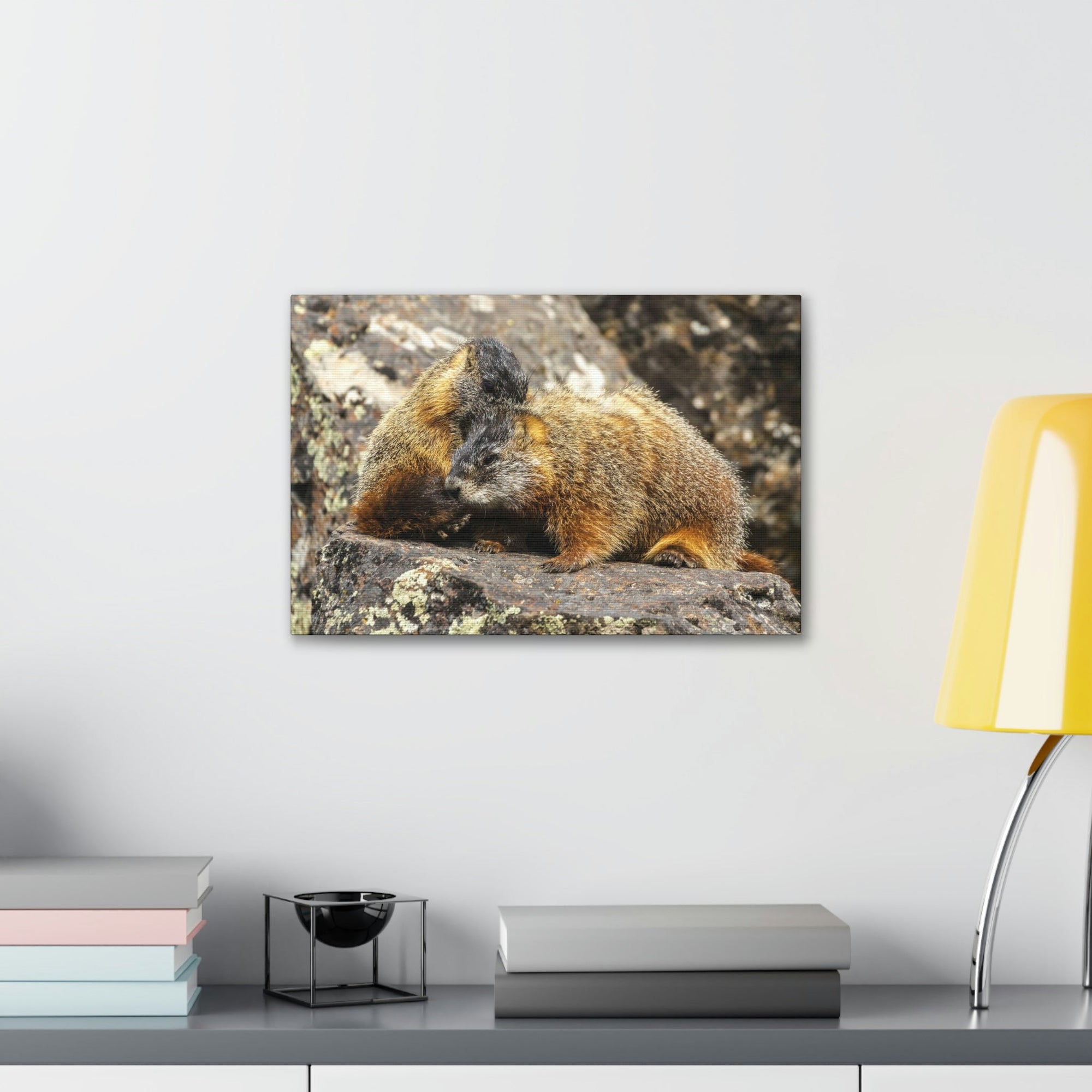 Scripture Walls Yellow Bellied Marmot Couple Yellow Bellied Marmot Couple Print Animal Wall Art Wildlife Canvas Prints Wall Art Ready to Hang Unframed-Express Your Love Gifts