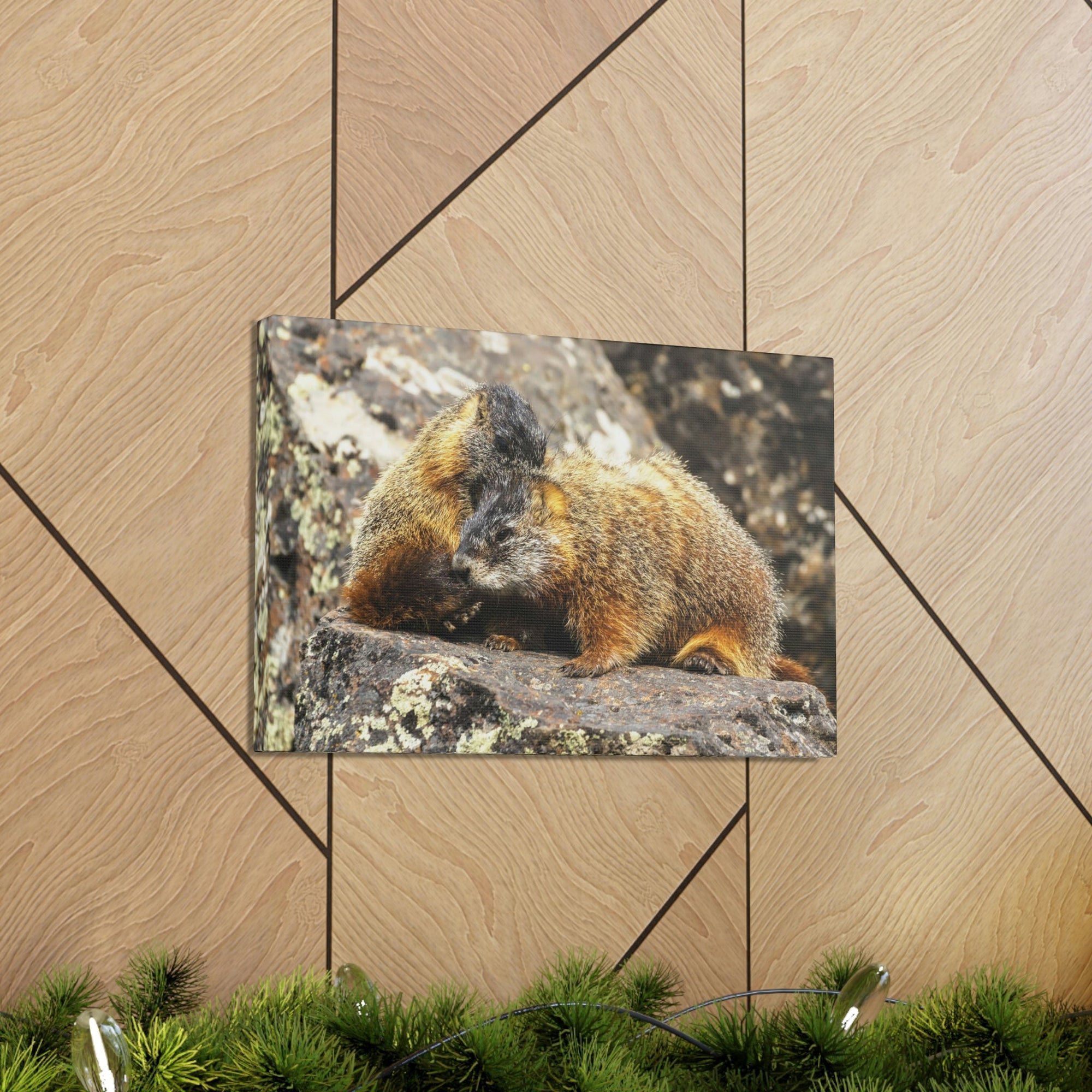 Scripture Walls Yellow Bellied Marmot Couple Yellow Bellied Marmot Couple Print Animal Wall Art Wildlife Canvas Prints Wall Art Ready to Hang Unframed-Express Your Love Gifts