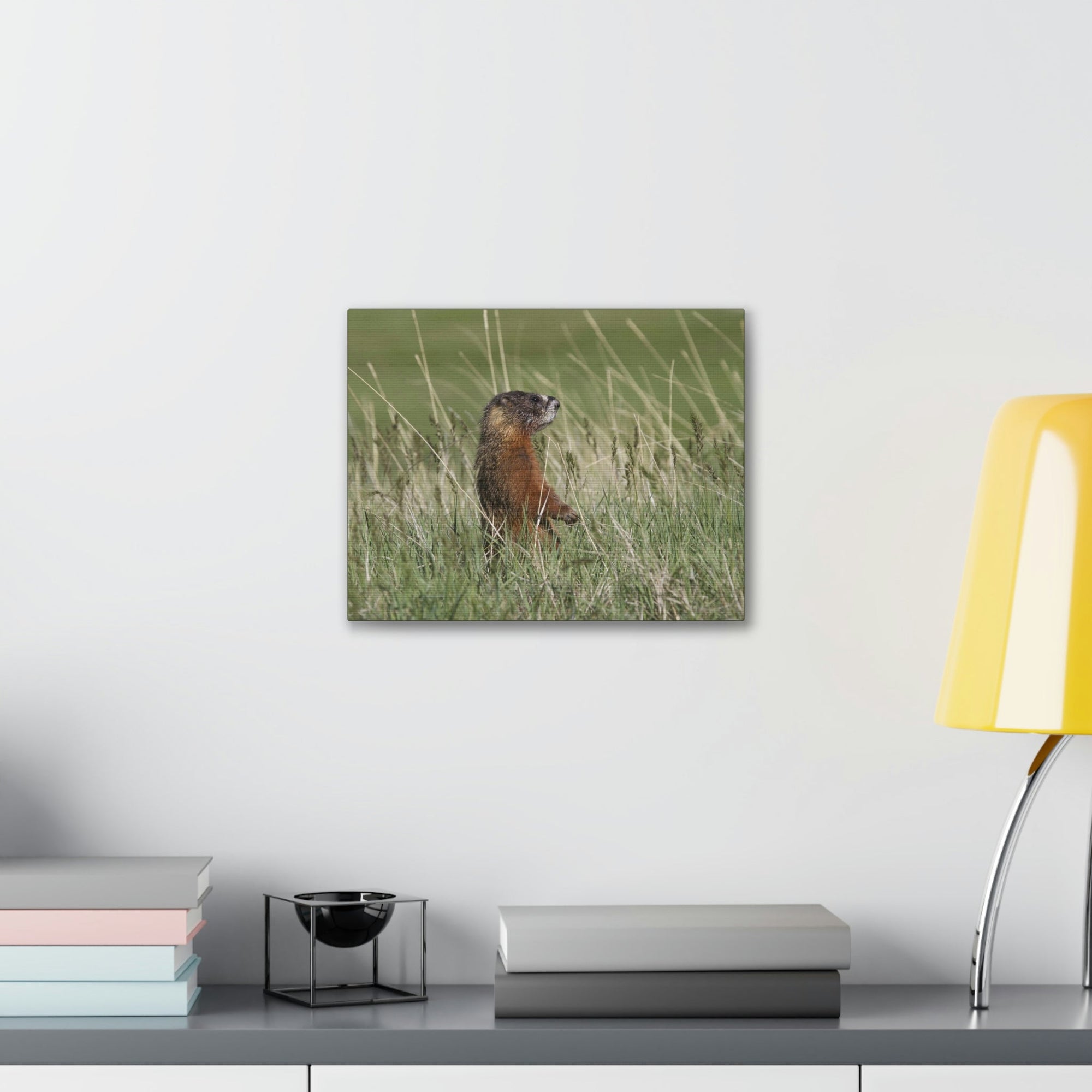 Scripture Walls Yellow Bellied Marmot Hunting Yellow Bellied Marmot on Hunt Print Animal Wall Art Wildlife Canvas Prints Wall Art Ready to Hang Unframed-Express Your Love Gifts