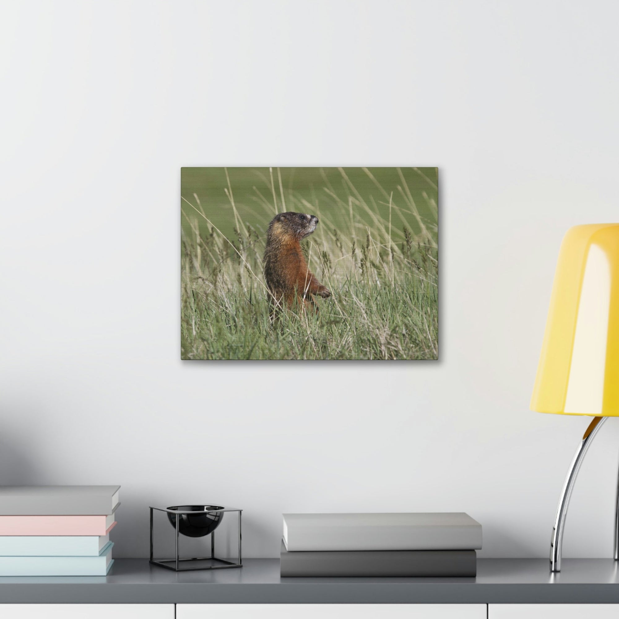 Scripture Walls Yellow Bellied Marmot Hunting Yellow Bellied Marmot on Hunt Print Animal Wall Art Wildlife Canvas Prints Wall Art Ready to Hang Unframed-Express Your Love Gifts