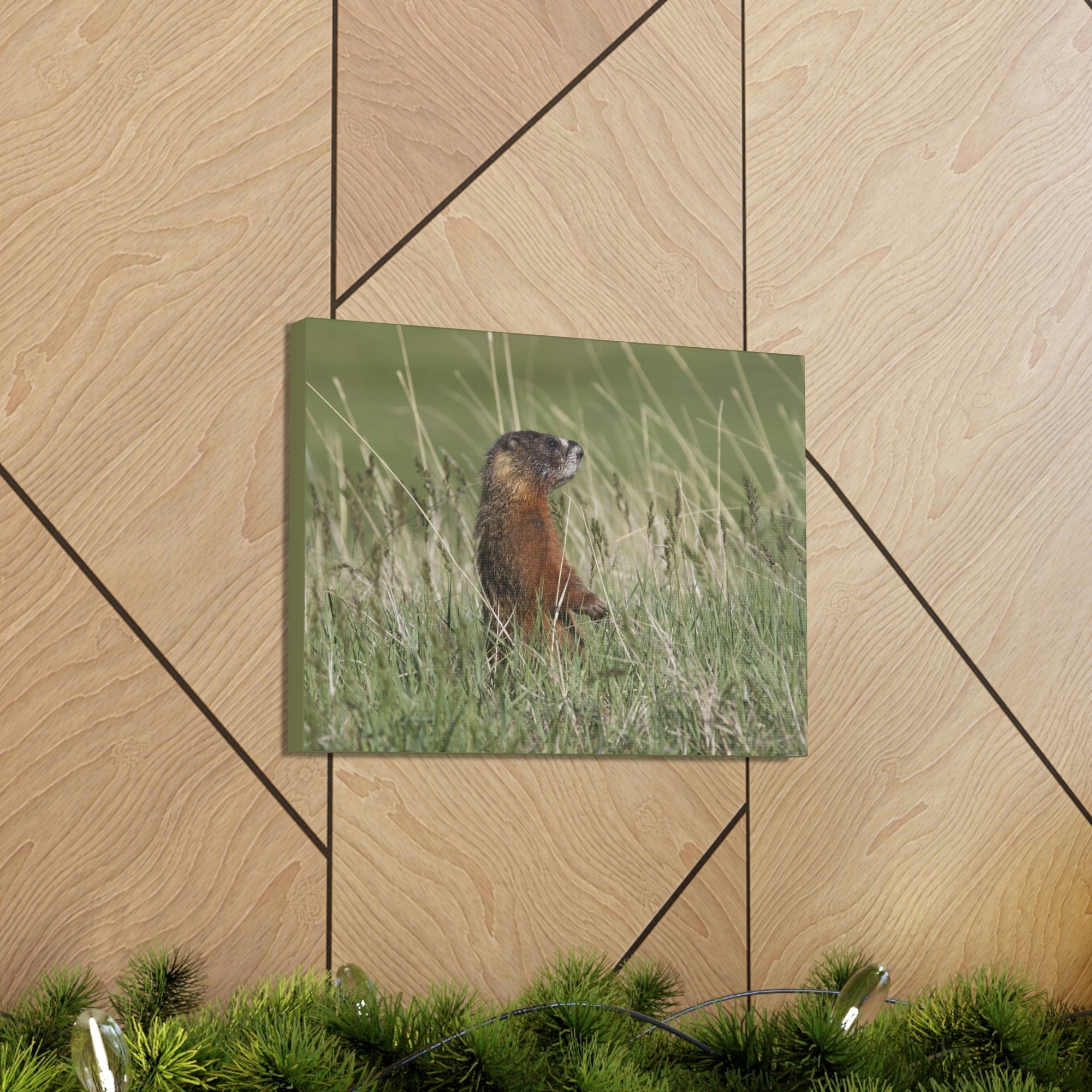 Scripture Walls Yellow Bellied Marmot Hunting Yellow Bellied Marmot on Hunt Print Animal Wall Art Wildlife Canvas Prints Wall Art Ready to Hang Unframed-Express Your Love Gifts