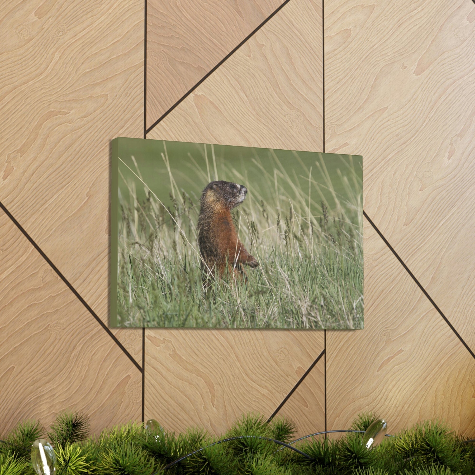 Scripture Walls Yellow Bellied Marmot Hunting Yellow Bellied Marmot on Hunt Print Animal Wall Art Wildlife Canvas Prints Wall Art Ready to Hang Unframed-Express Your Love Gifts