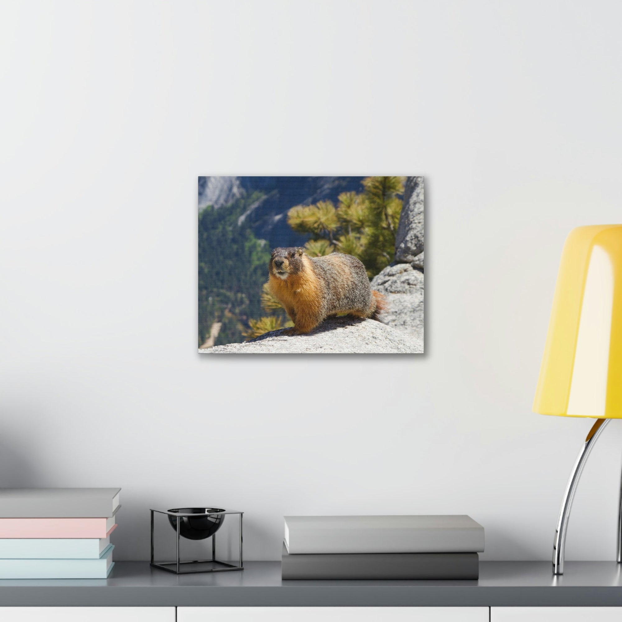 Scripture Walls Yellow Bellied Marmot on a Ridge Near Yosemite Falls Print Animal Wall Art Wildlife Canvas Prints Wall Art Ready to Hang Unframed-Express Your Love Gifts