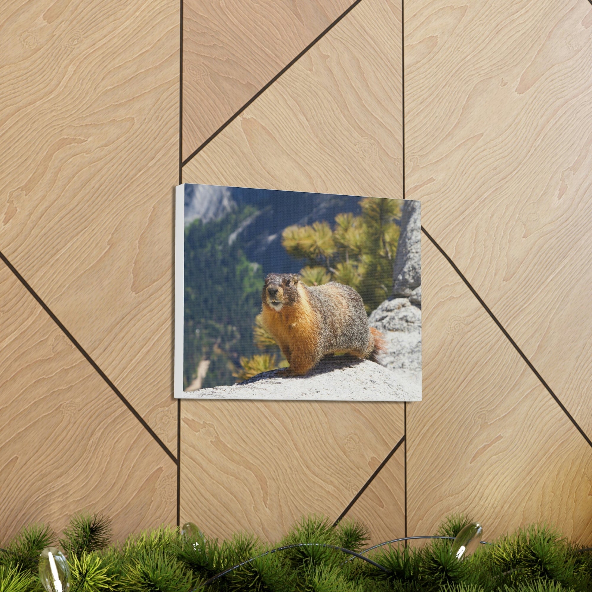 Scripture Walls Yellow Bellied Marmot on a Ridge Near Yosemite Falls Print Animal Wall Art Wildlife Canvas Prints Wall Art Ready to Hang Unframed-Express Your Love Gifts