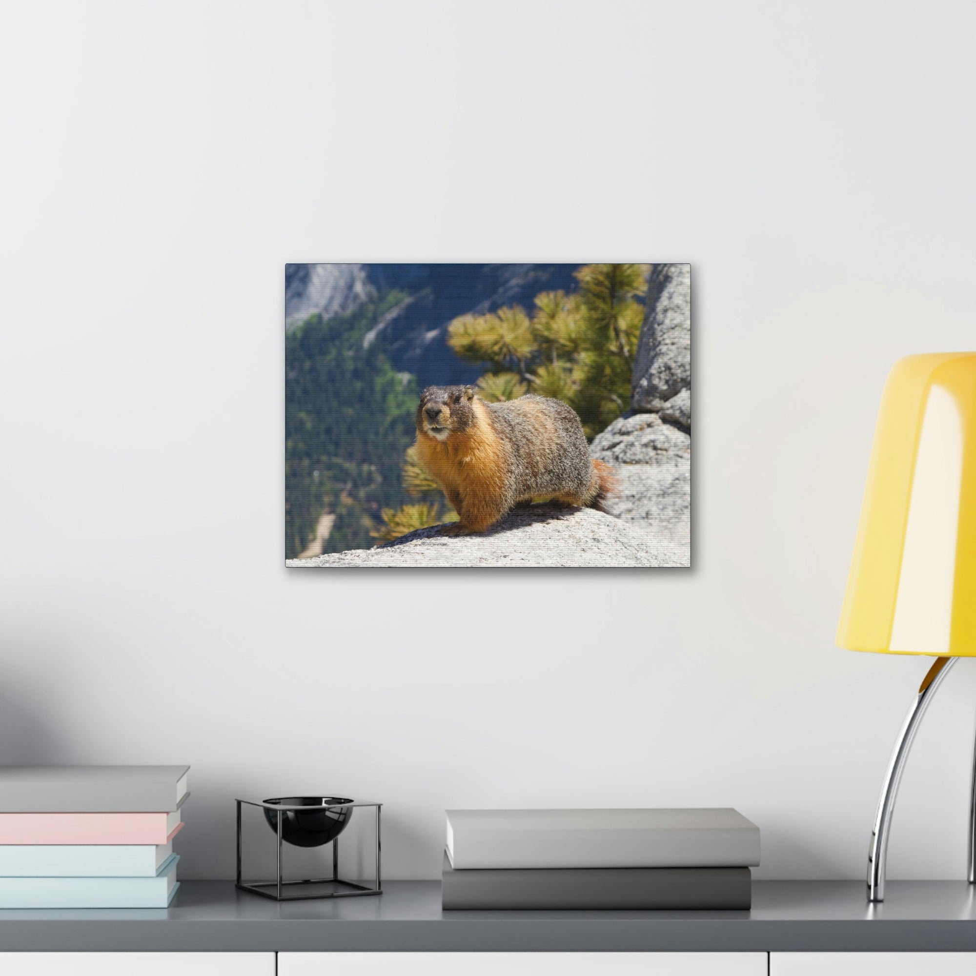 Scripture Walls Yellow Bellied Marmot on a Ridge Near Yosemite Falls Print Animal Wall Art Wildlife Canvas Prints Wall Art Ready to Hang Unframed-Express Your Love Gifts