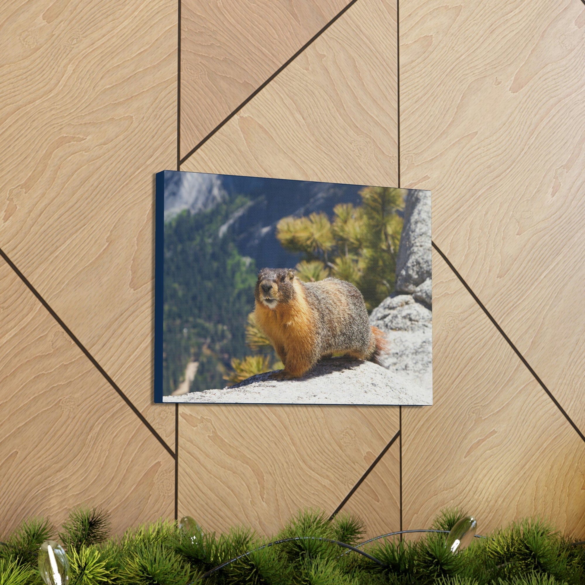 Scripture Walls Yellow Bellied Marmot on a Ridge Near Yosemite Falls Print Animal Wall Art Wildlife Canvas Prints Wall Art Ready to Hang Unframed-Express Your Love Gifts