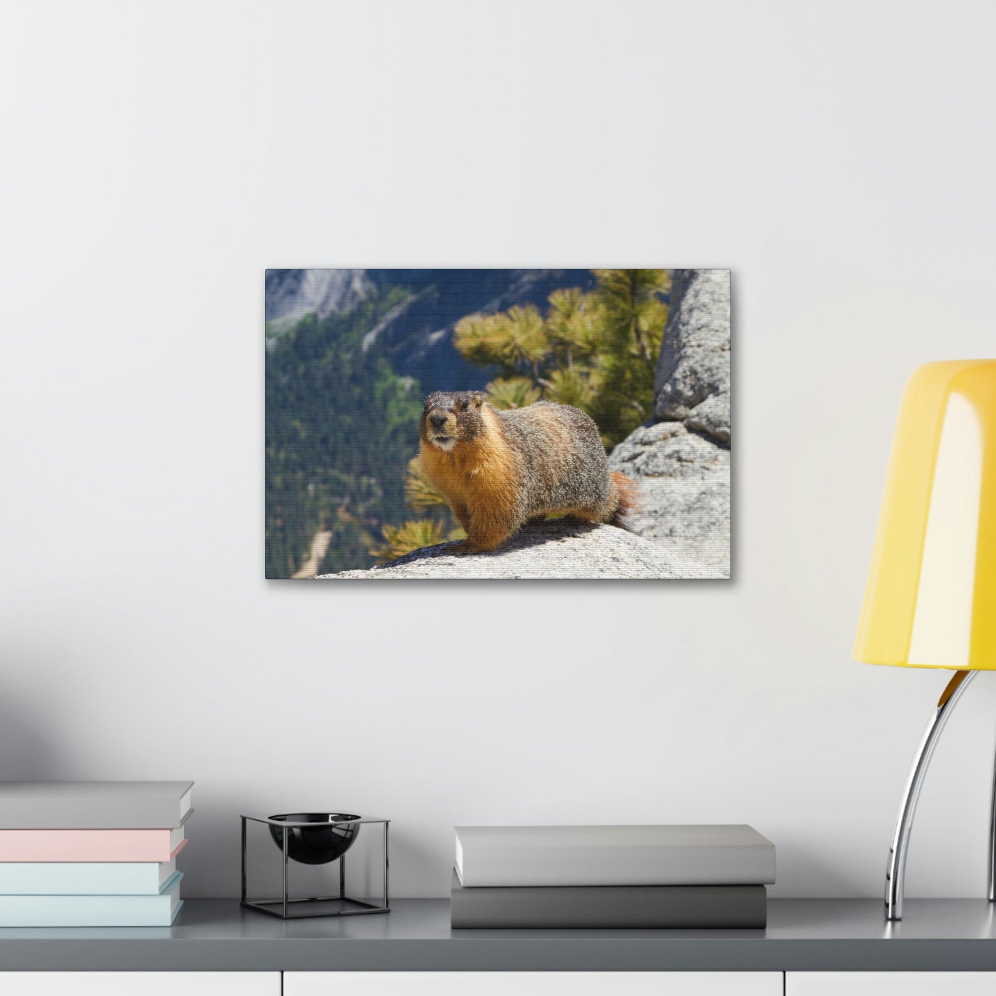 Scripture Walls Yellow Bellied Marmot on a Ridge Near Yosemite Falls Print Animal Wall Art Wildlife Canvas Prints Wall Art Ready to Hang Unframed-Express Your Love Gifts