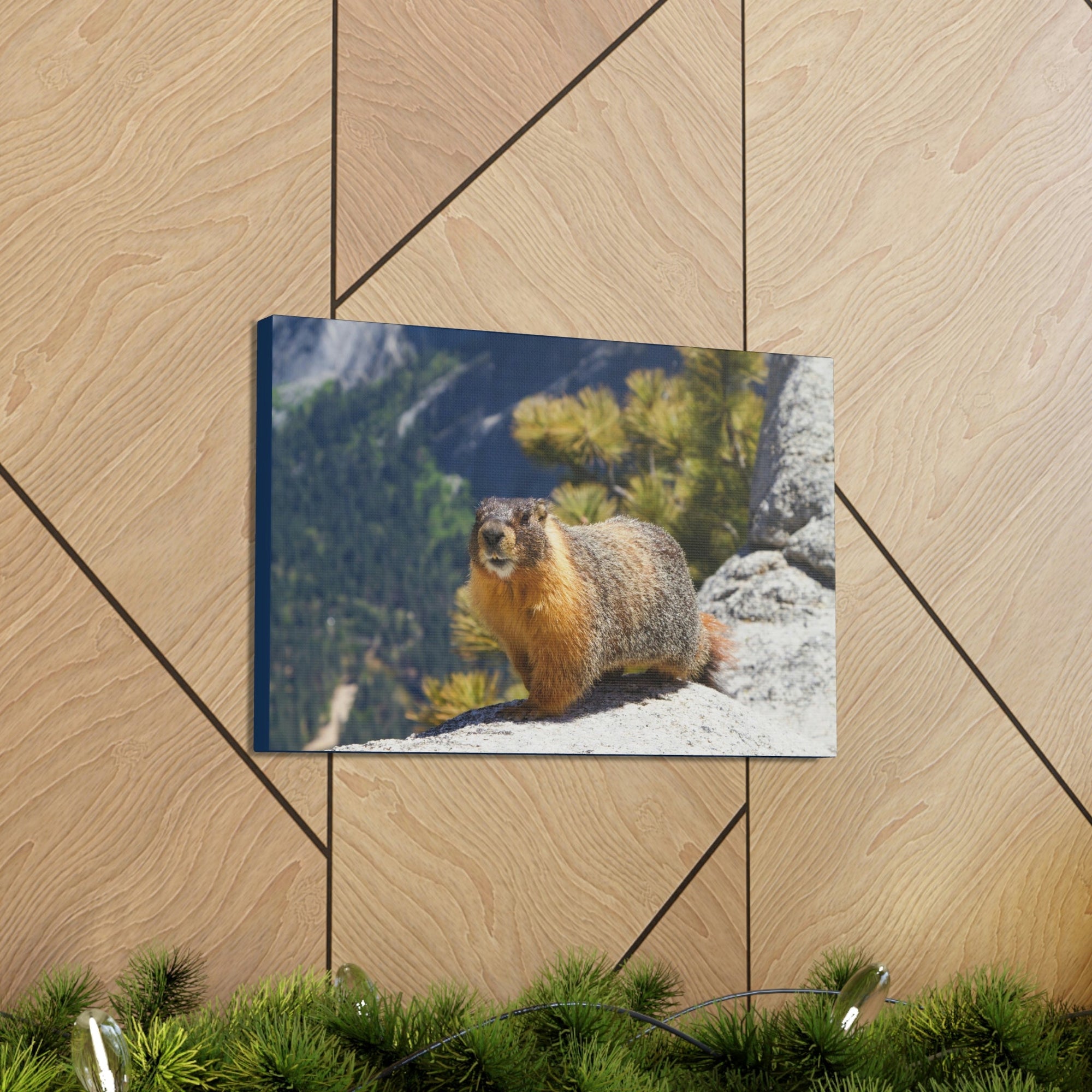 Scripture Walls Yellow Bellied Marmot on a Ridge Near Yosemite Falls Print Animal Wall Art Wildlife Canvas Prints Wall Art Ready to Hang Unframed-Express Your Love Gifts