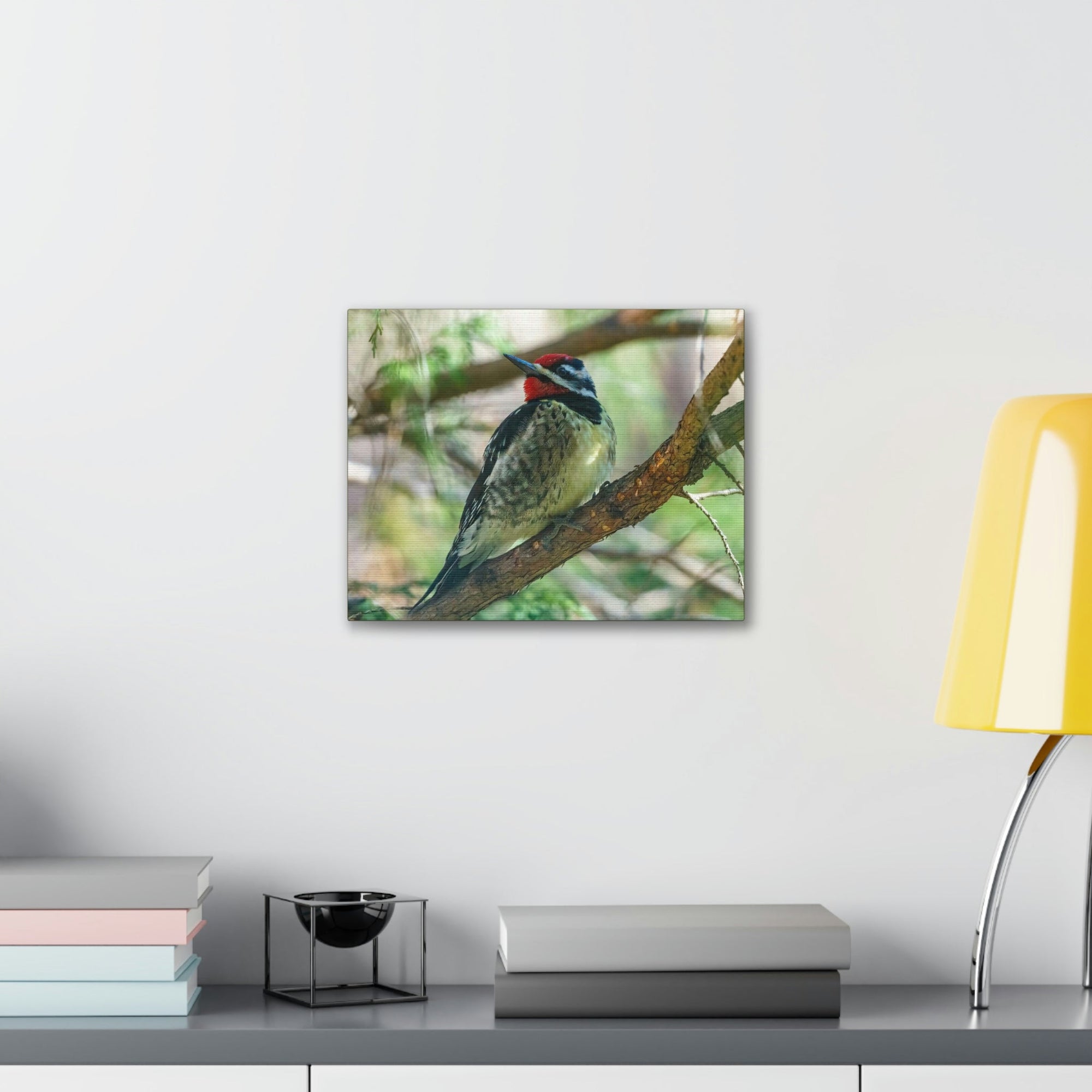 Scripture Walls Yellow Bellied Sapsucker With Red Head Perched on a Branch Looking to the Side Print Animal Wall Art Wildlife Canvas Prints Wall Art Ready to Hang Unframed-Express Your Love Gifts