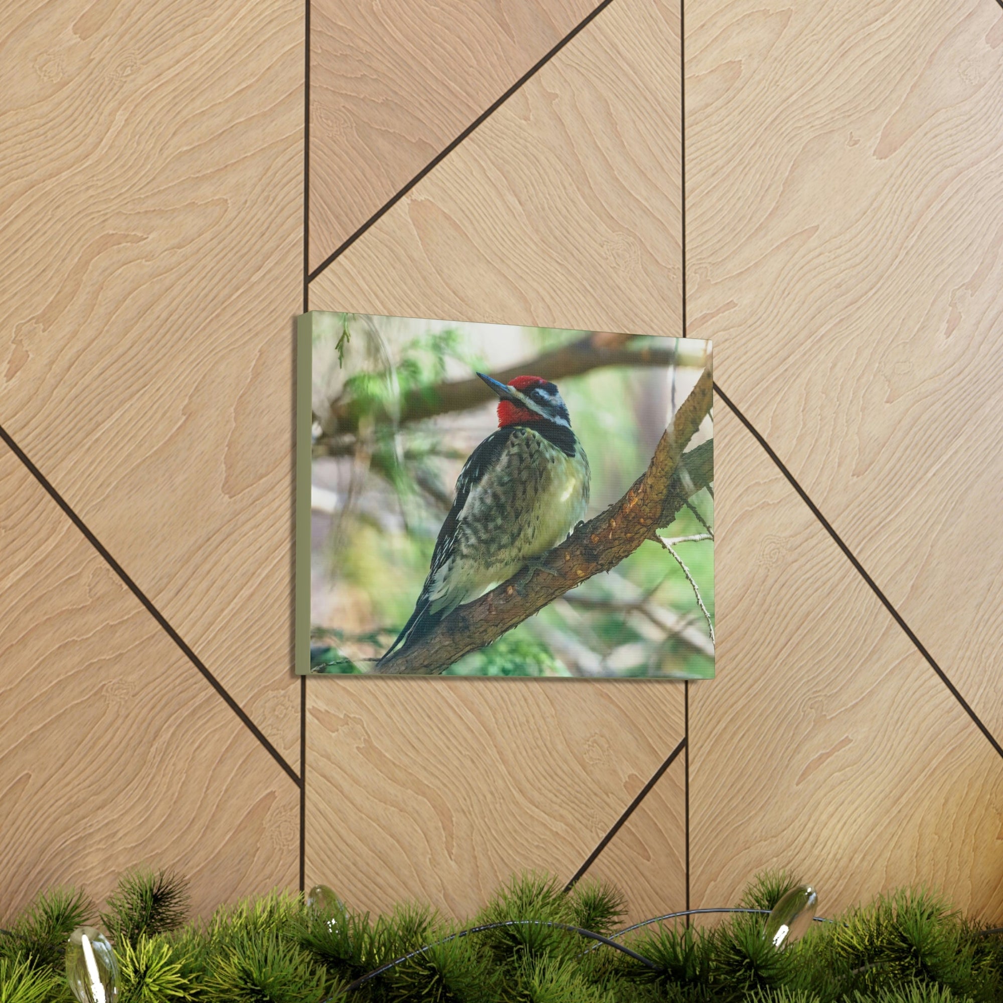 Scripture Walls Yellow Bellied Sapsucker With Red Head Perched on a Branch Looking to the Side Print Animal Wall Art Wildlife Canvas Prints Wall Art Ready to Hang Unframed-Express Your Love Gifts