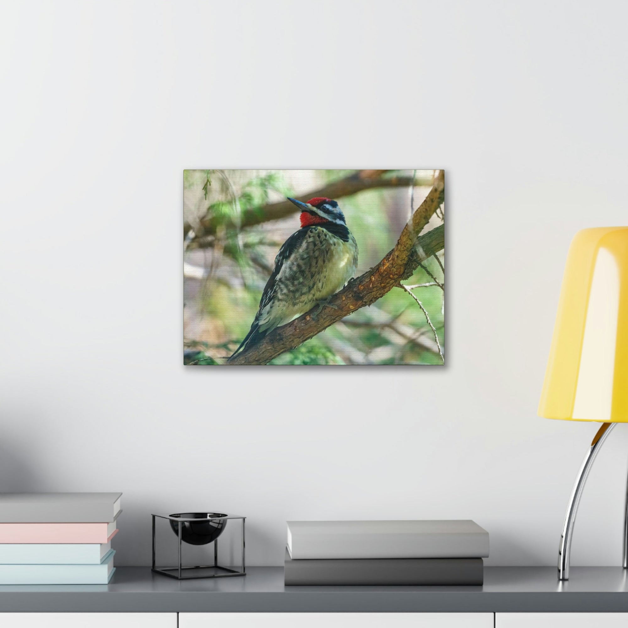 Scripture Walls Yellow Bellied Sapsucker With Red Head Perched on a Branch Looking to the Side Print Animal Wall Art Wildlife Canvas Prints Wall Art Ready to Hang Unframed-Express Your Love Gifts