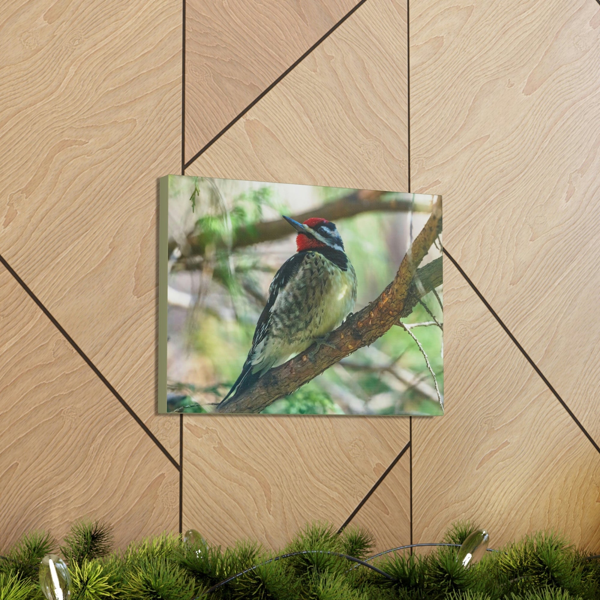 Scripture Walls Yellow Bellied Sapsucker With Red Head Perched on a Branch Looking to the Side Print Animal Wall Art Wildlife Canvas Prints Wall Art Ready to Hang Unframed-Express Your Love Gifts