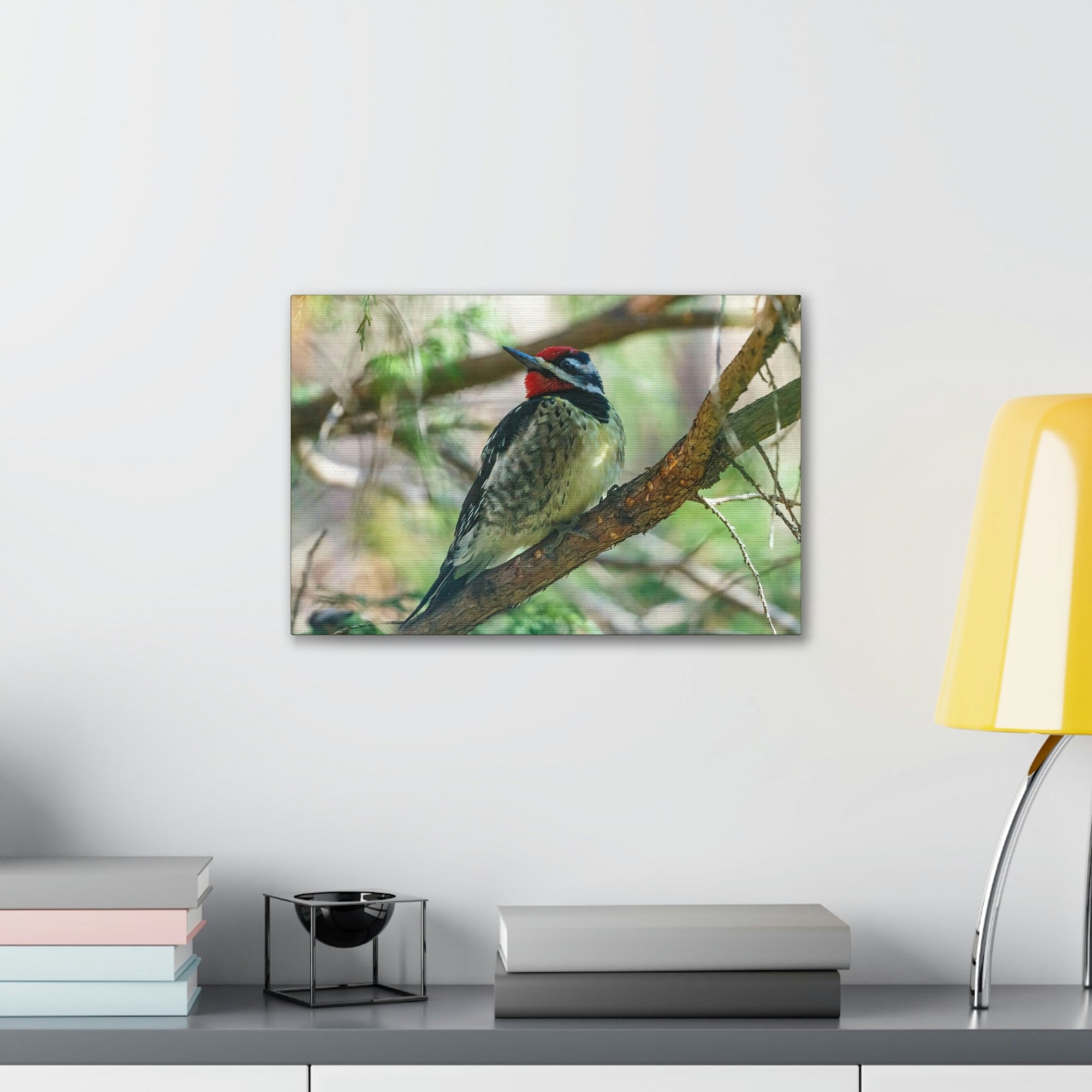 Scripture Walls Yellow Bellied Sapsucker With Red Head Perched on a Branch Looking to the Side Print Animal Wall Art Wildlife Canvas Prints Wall Art Ready to Hang Unframed-Express Your Love Gifts