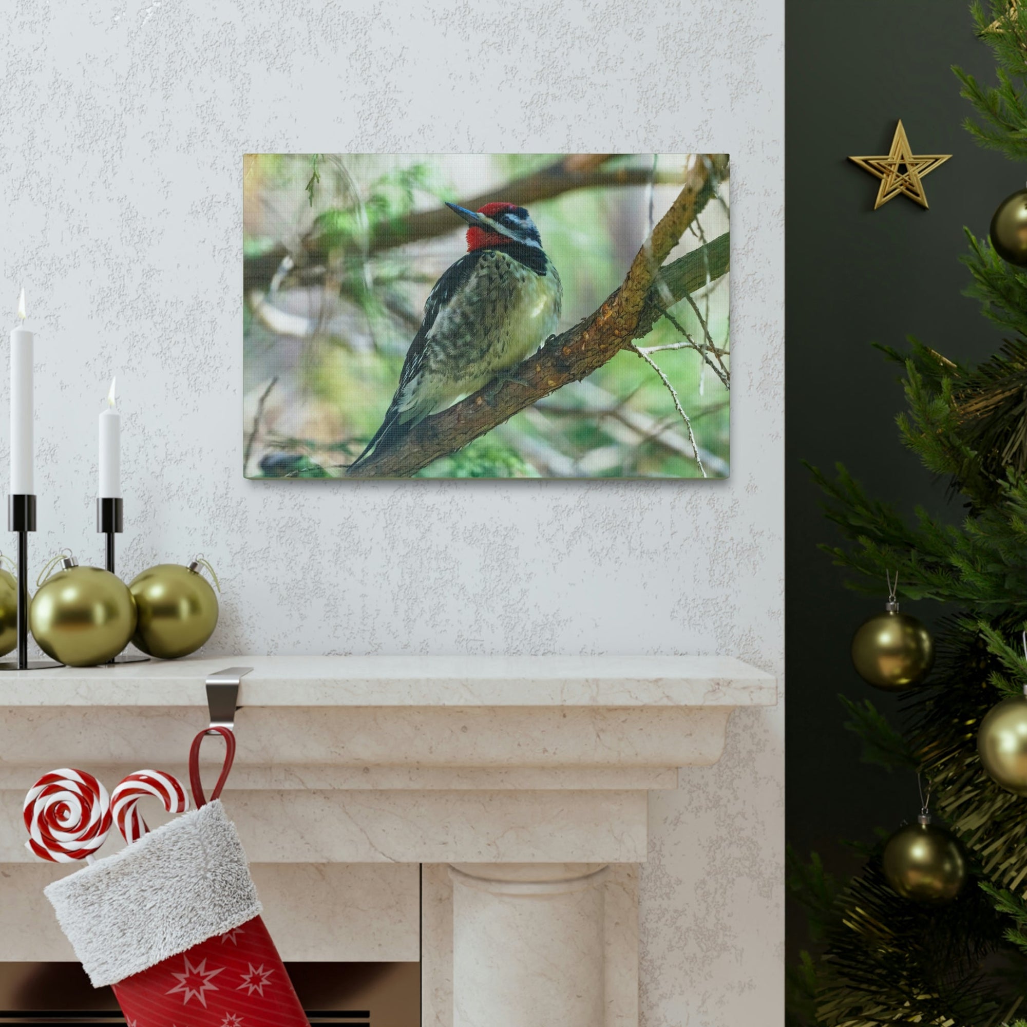 Scripture Walls Yellow Bellied Sapsucker With Red Head Perched on a Branch Looking to the Side Print Animal Wall Art Wildlife Canvas Prints Wall Art Ready to Hang Unframed-Express Your Love Gifts