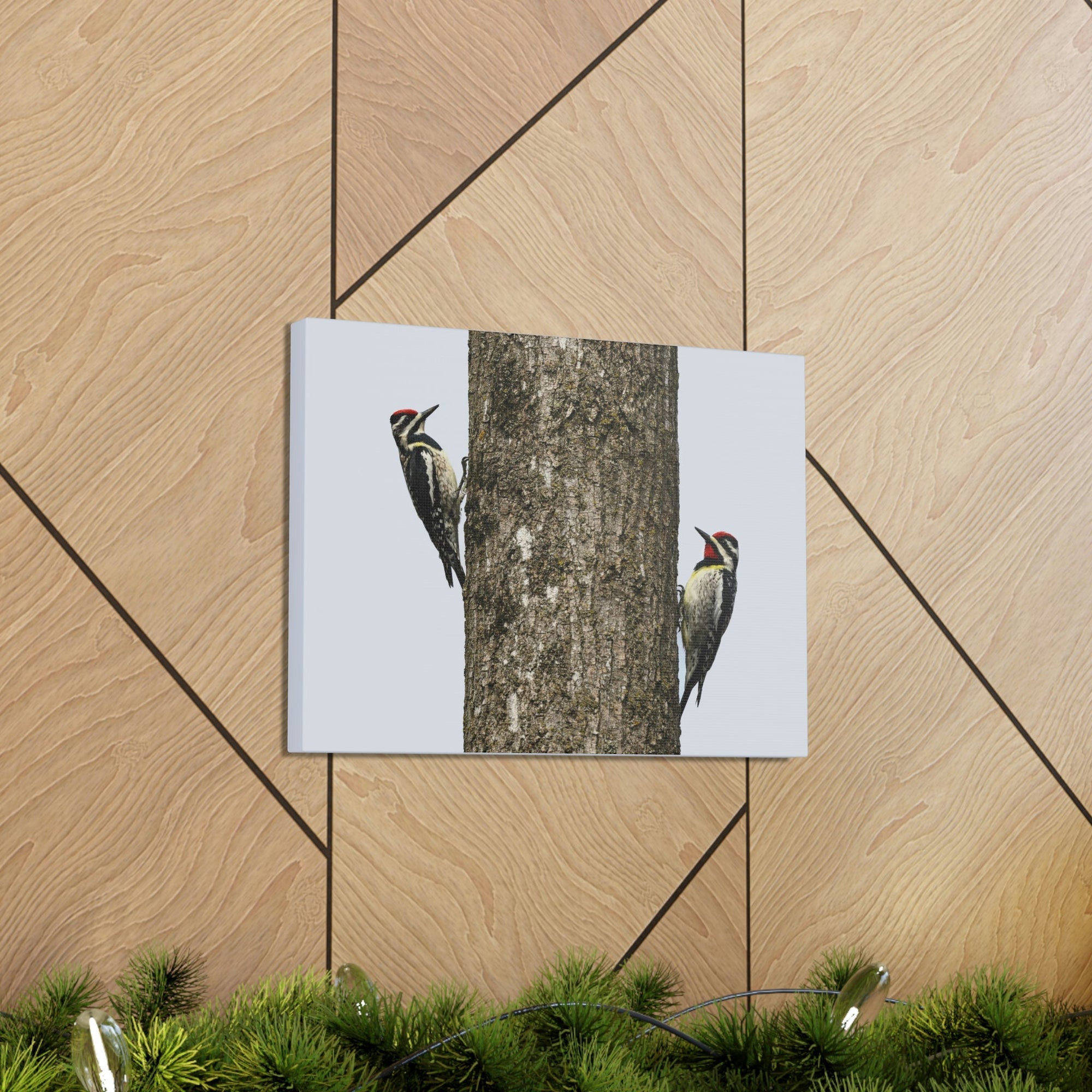 Scripture Walls Yellow Belly Sapsucker Couple Yellow Belly Sapsucker Couple Print Animal Wall Art Wildlife Canvas Prints Wall Art Ready to Hang Unframed-Express Your Love Gifts