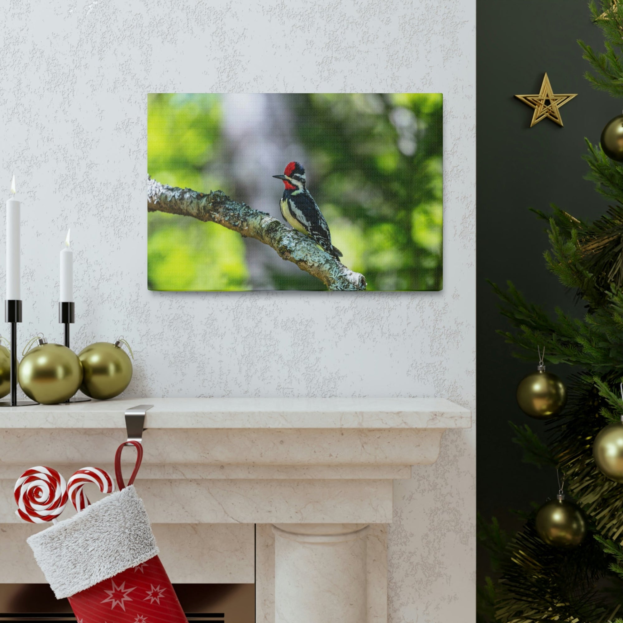 Scripture Walls Yellow Belly Sapsucker Hunting Yellow Belly Sapsucker on Hunt Print Animal Wall Art Wildlife Canvas Prints Wall Art Ready to Hang Unframed-Express Your Love Gifts