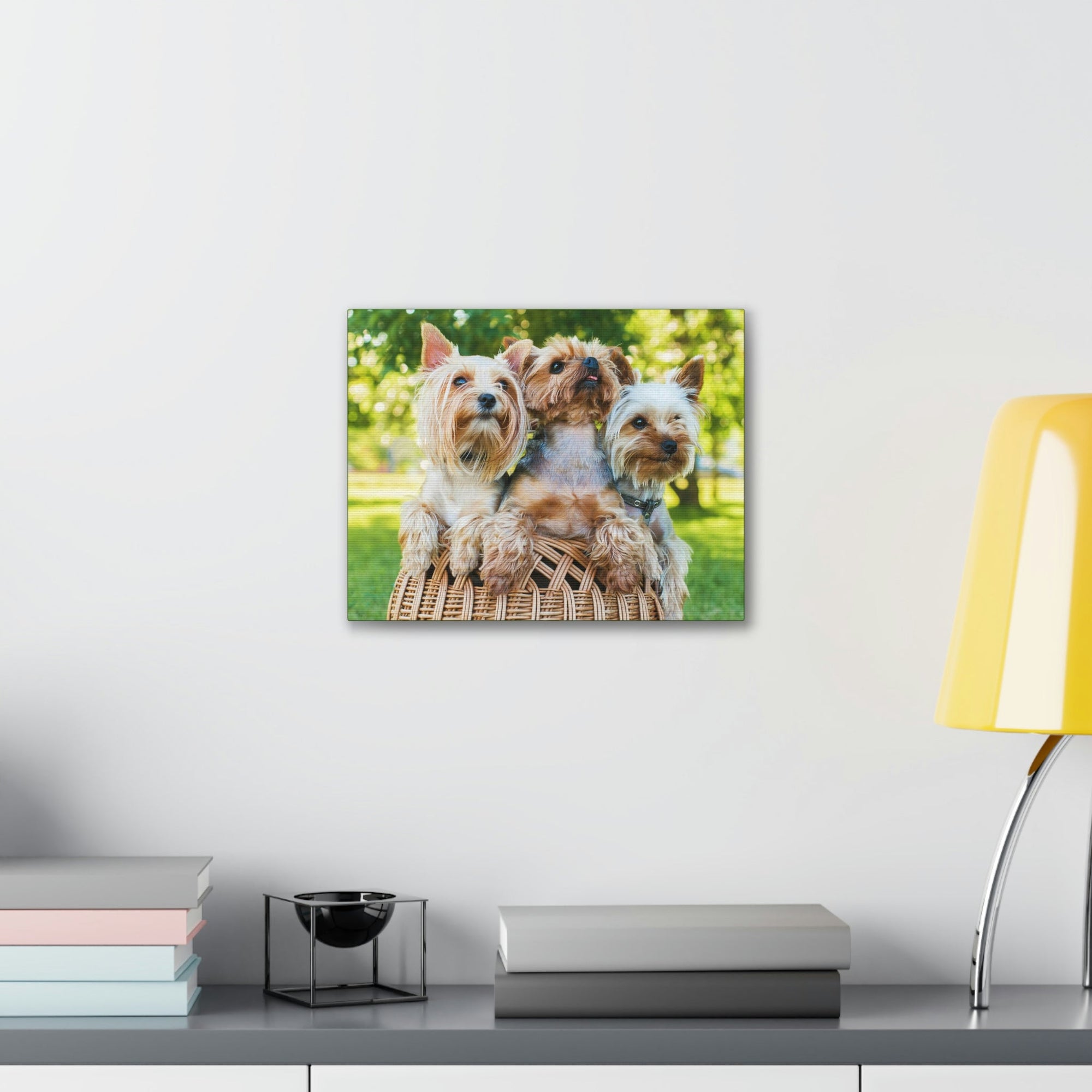 Scripture Walls Yorkshire Terrier Group Yorkshire Terrier Troop Print Animal Wall Art Wildlife Canvas Prints Wall Art Ready to Hang Unframed-Express Your Love Gifts