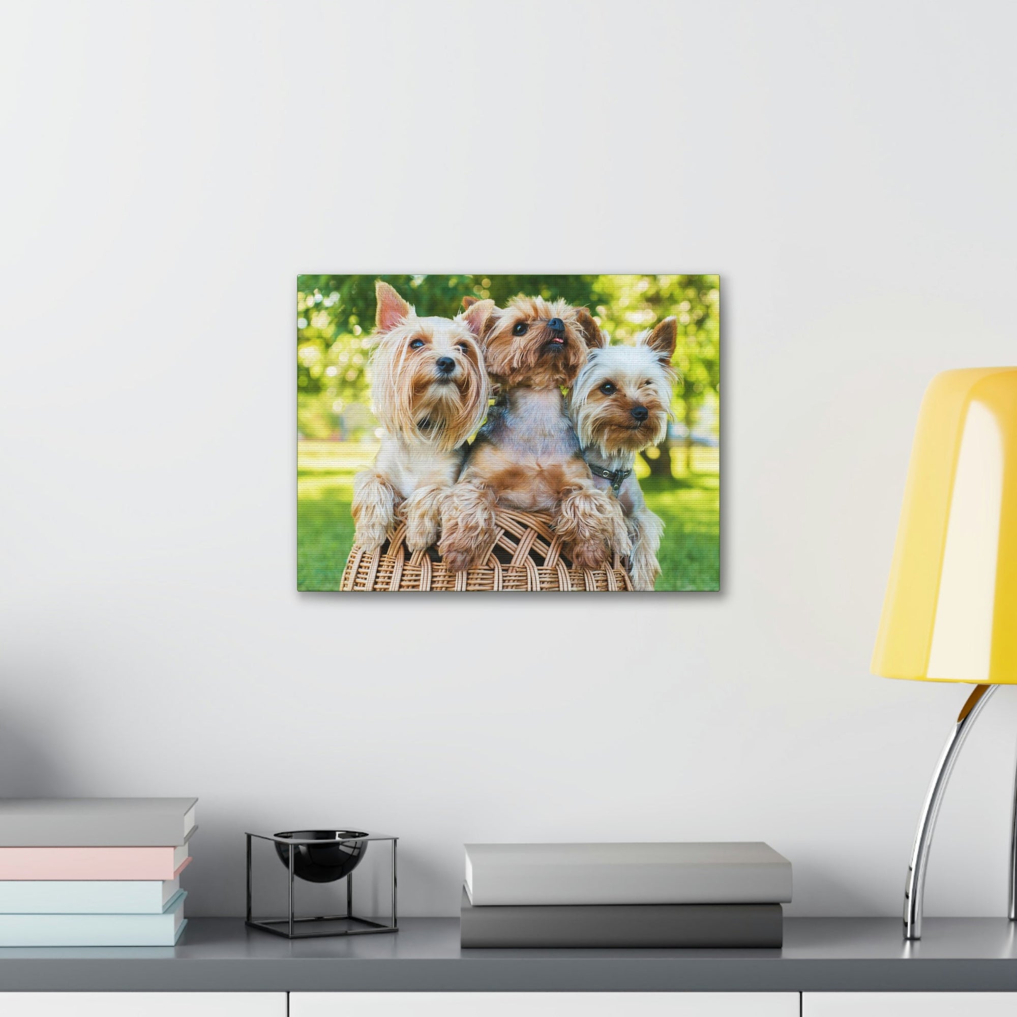 Scripture Walls Yorkshire Terrier Group Yorkshire Terrier Troop Print Animal Wall Art Wildlife Canvas Prints Wall Art Ready to Hang Unframed-Express Your Love Gifts