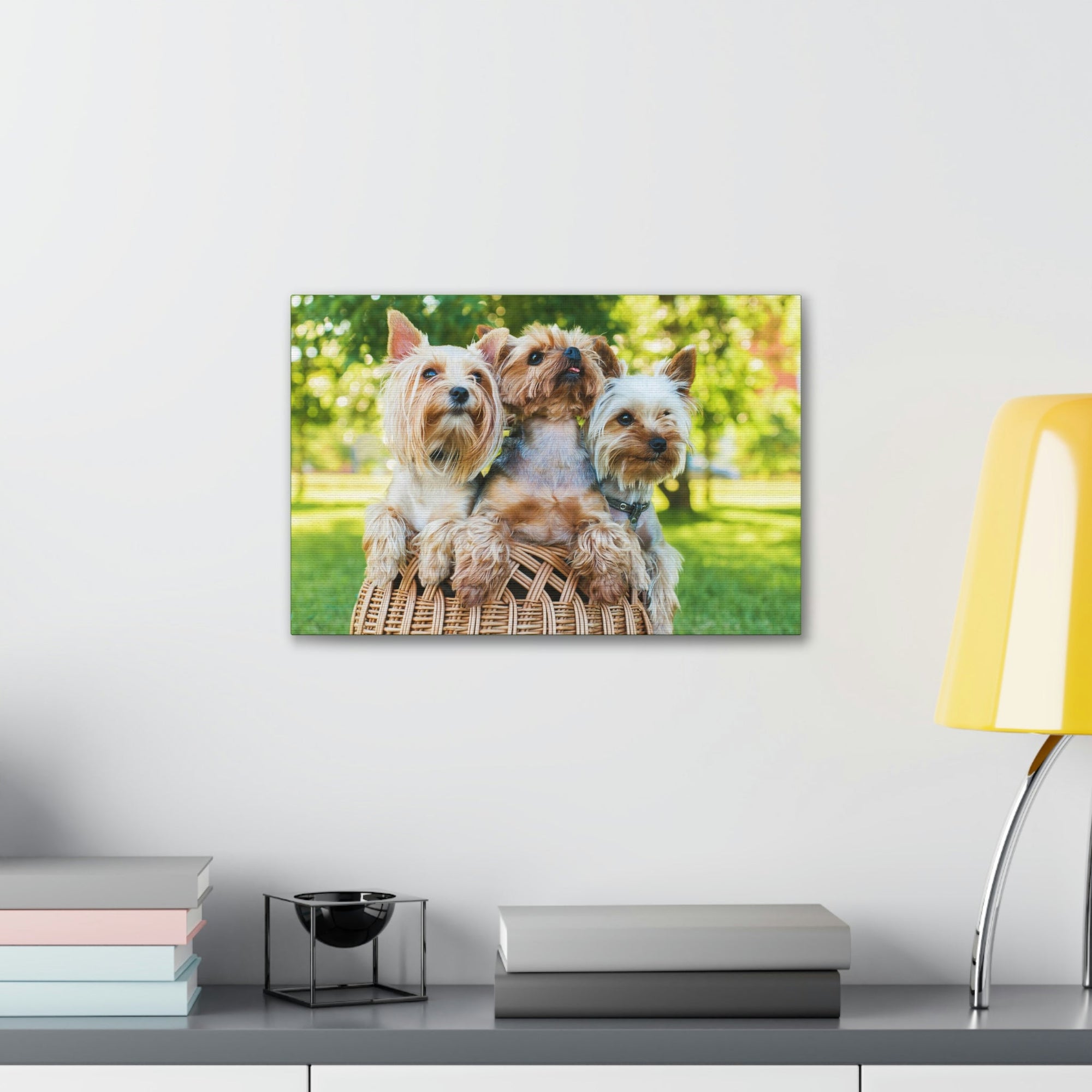 Scripture Walls Yorkshire Terrier Group Yorkshire Terrier Troop Print Animal Wall Art Wildlife Canvas Prints Wall Art Ready to Hang Unframed-Express Your Love Gifts