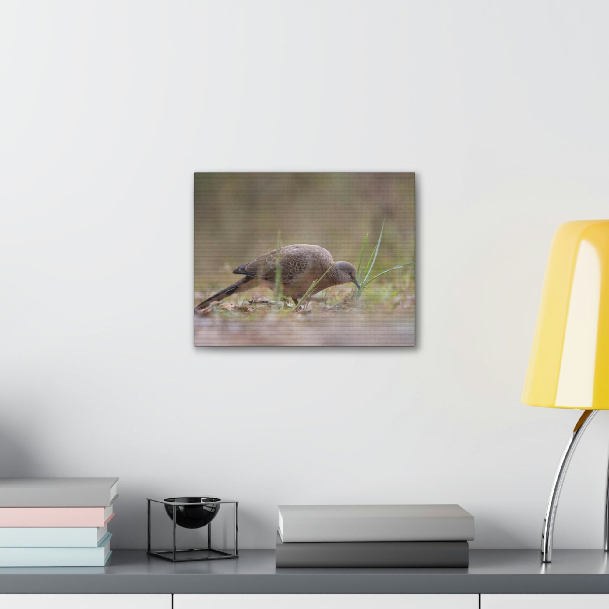 Scripture Walls Zebra Dove Hunting Zebra Dove on Hunt Print Animal Wall Art Wildlife Canvas Prints Wall Art Ready to Hang Unframed-Express Your Love Gifts