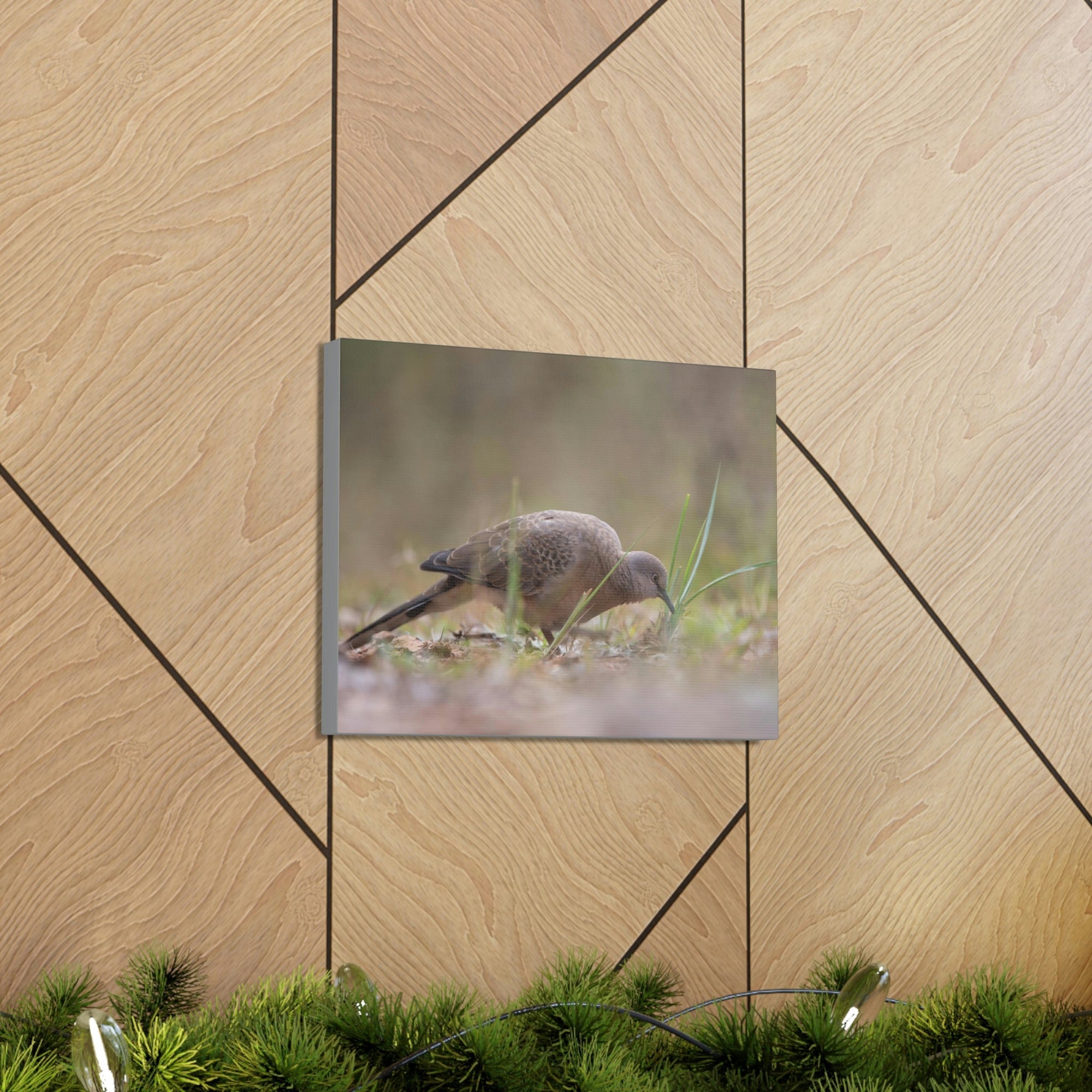 Scripture Walls Zebra Dove Hunting Zebra Dove on Hunt Print Animal Wall Art Wildlife Canvas Prints Wall Art Ready to Hang Unframed-Express Your Love Gifts