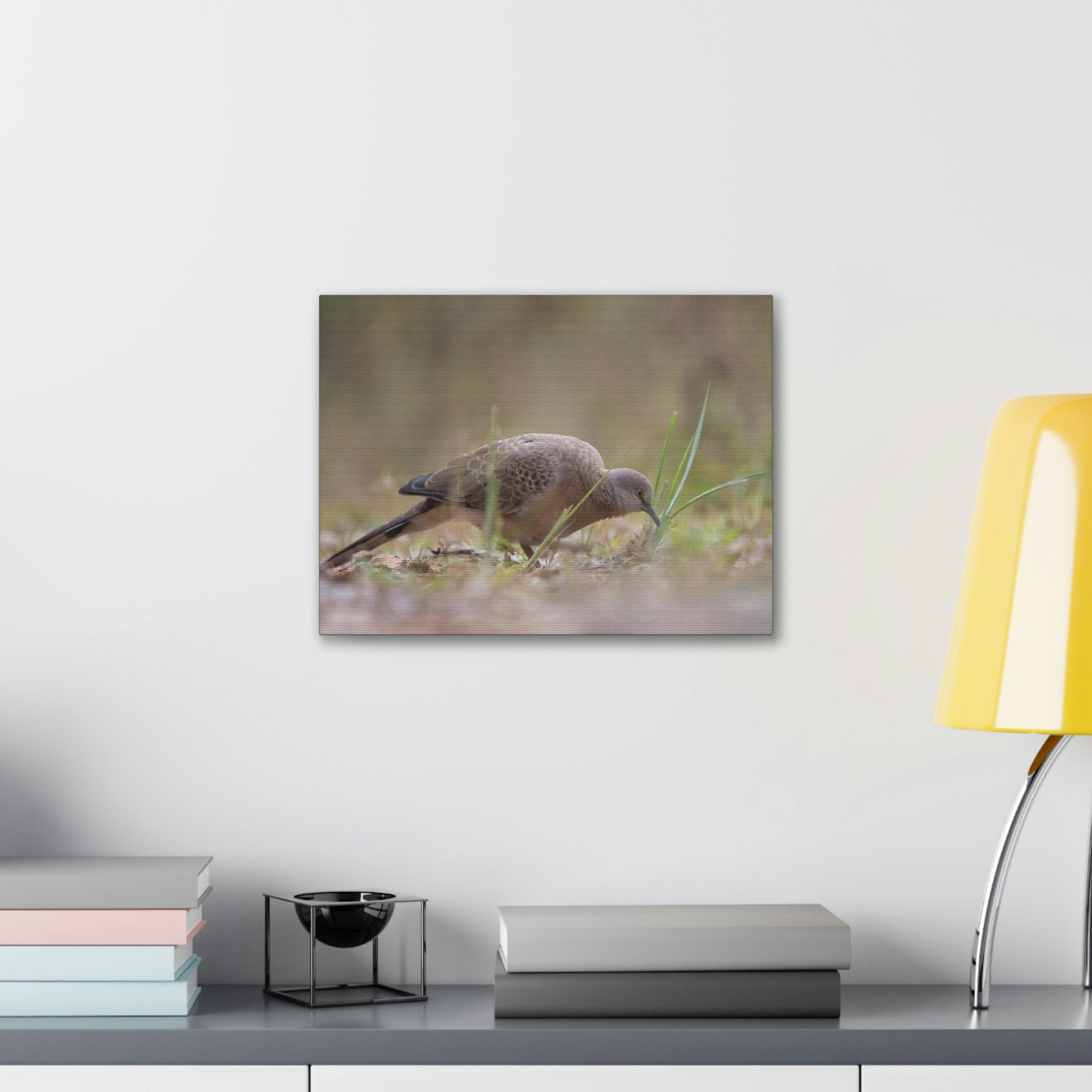 Scripture Walls Zebra Dove Hunting Zebra Dove on Hunt Print Animal Wall Art Wildlife Canvas Prints Wall Art Ready to Hang Unframed-Express Your Love Gifts