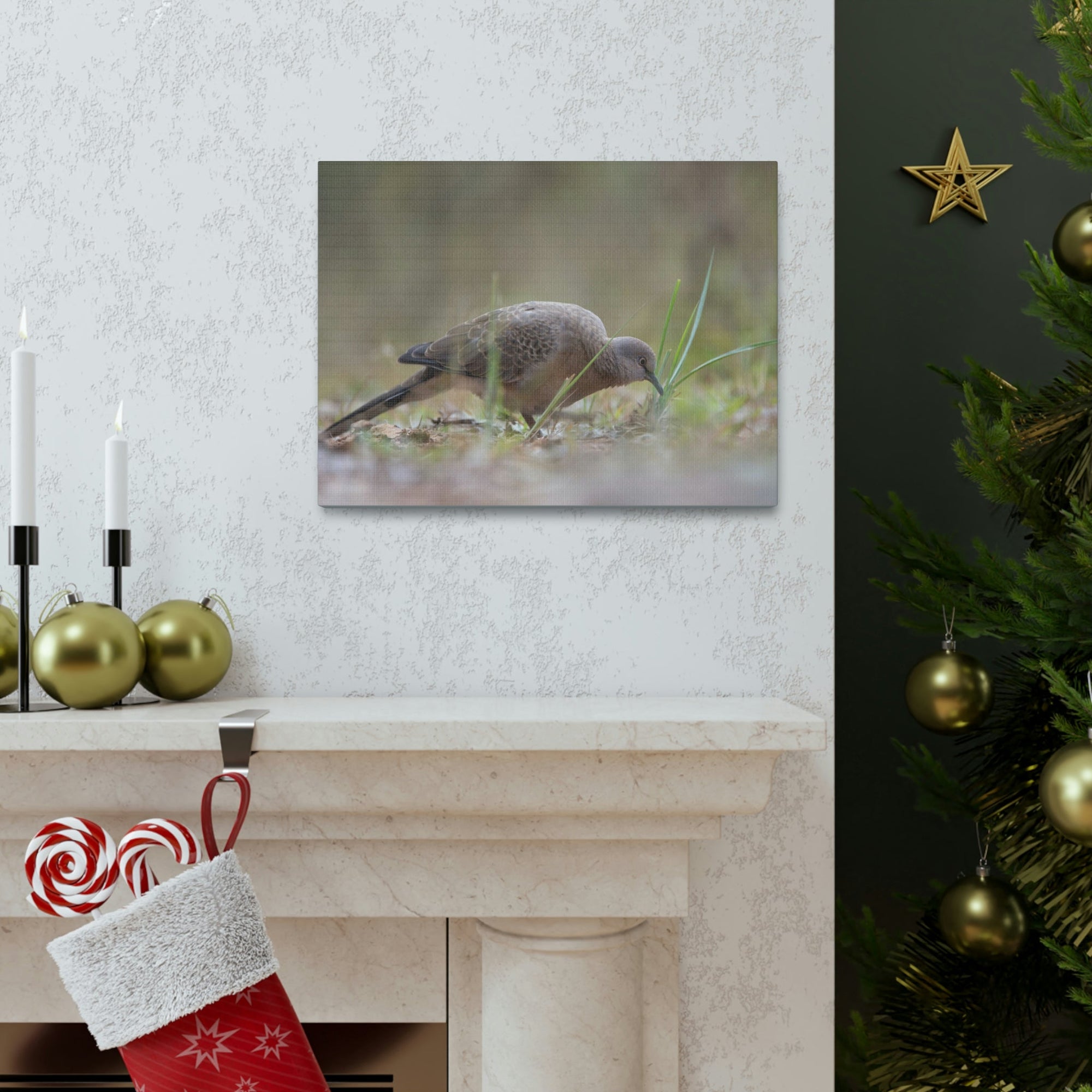 Scripture Walls Zebra Dove Hunting Zebra Dove on Hunt Print Animal Wall Art Wildlife Canvas Prints Wall Art Ready to Hang Unframed-Express Your Love Gifts