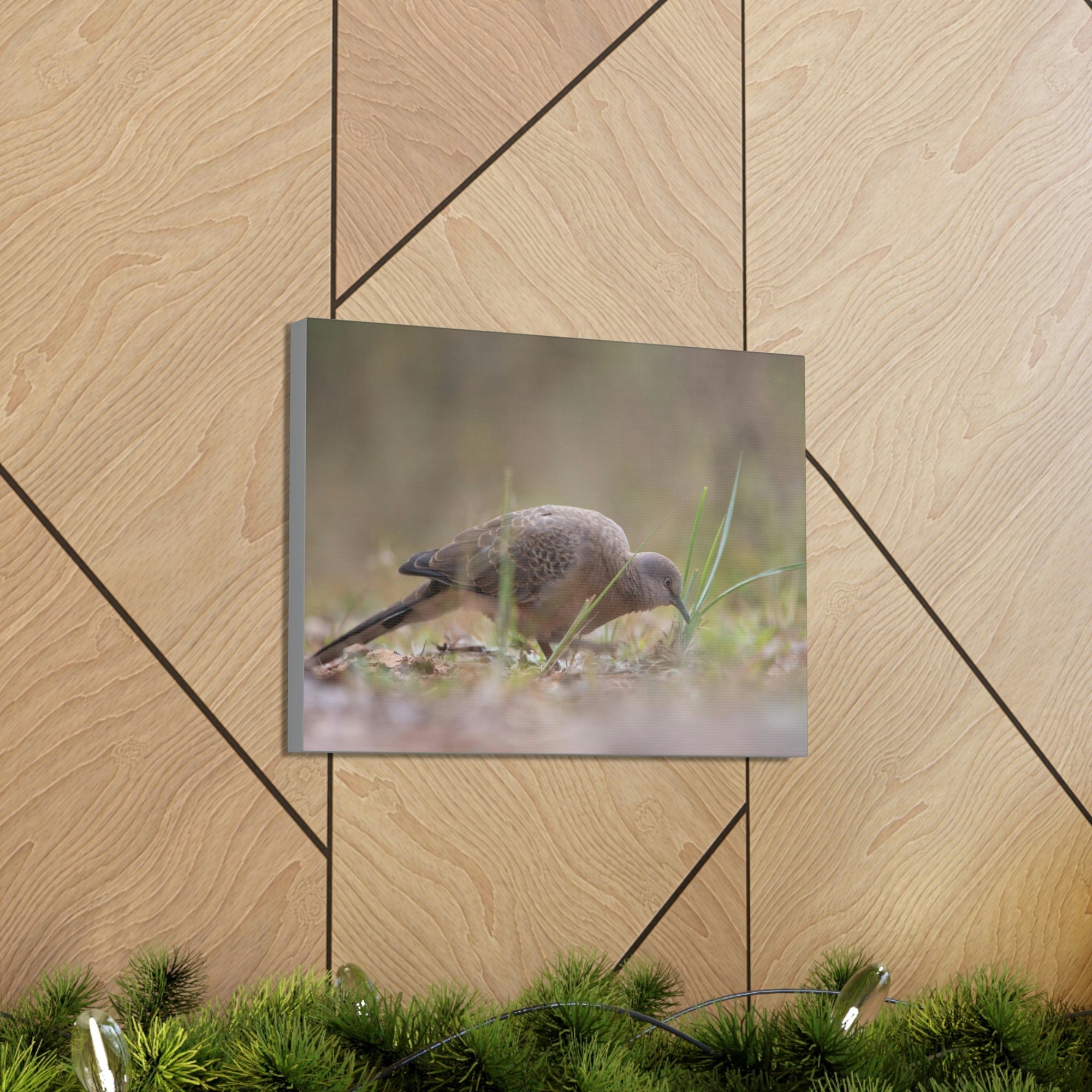 Scripture Walls Zebra Dove Hunting Zebra Dove on Hunt Print Animal Wall Art Wildlife Canvas Prints Wall Art Ready to Hang Unframed-Express Your Love Gifts