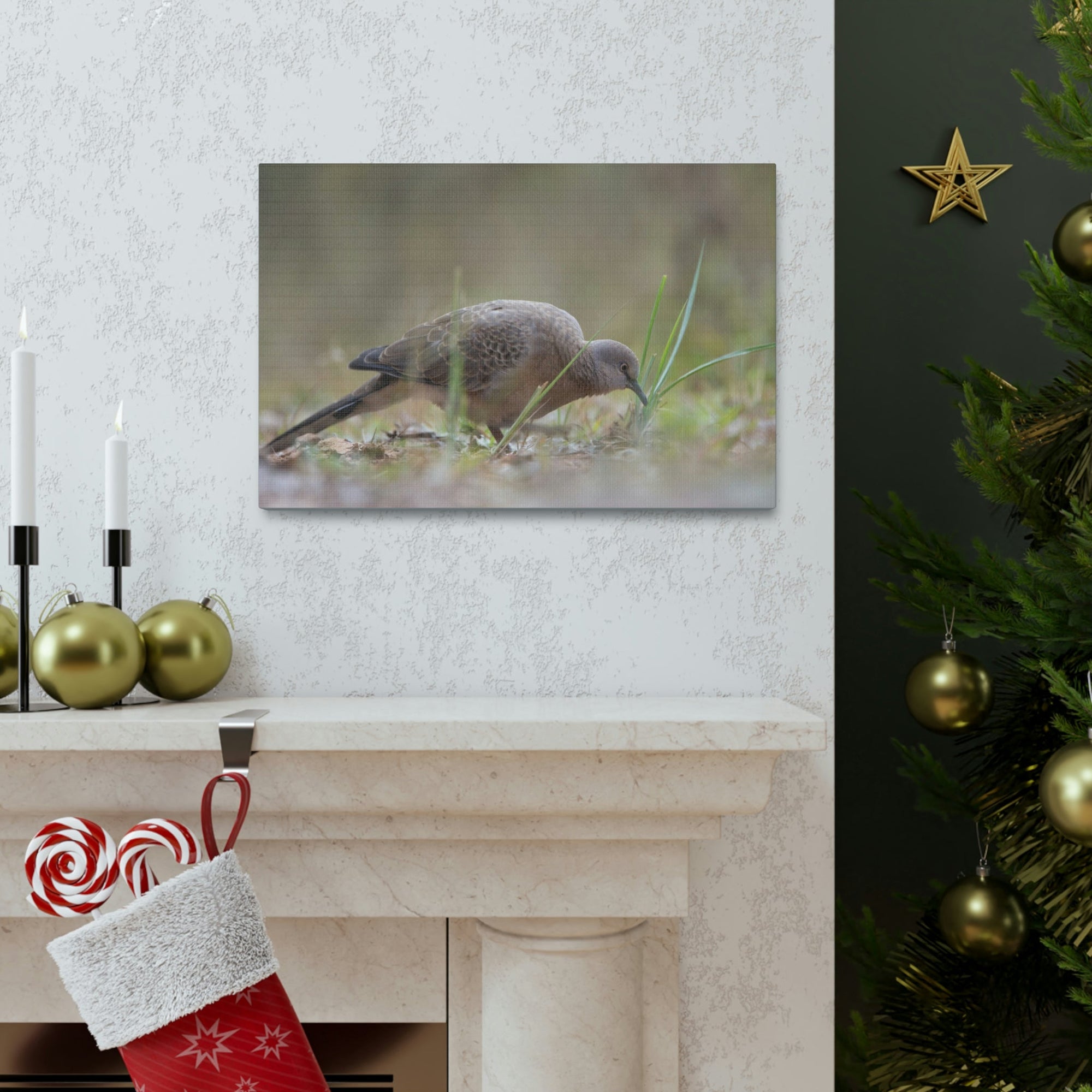 Scripture Walls Zebra Dove Hunting Zebra Dove on Hunt Print Animal Wall Art Wildlife Canvas Prints Wall Art Ready to Hang Unframed-Express Your Love Gifts