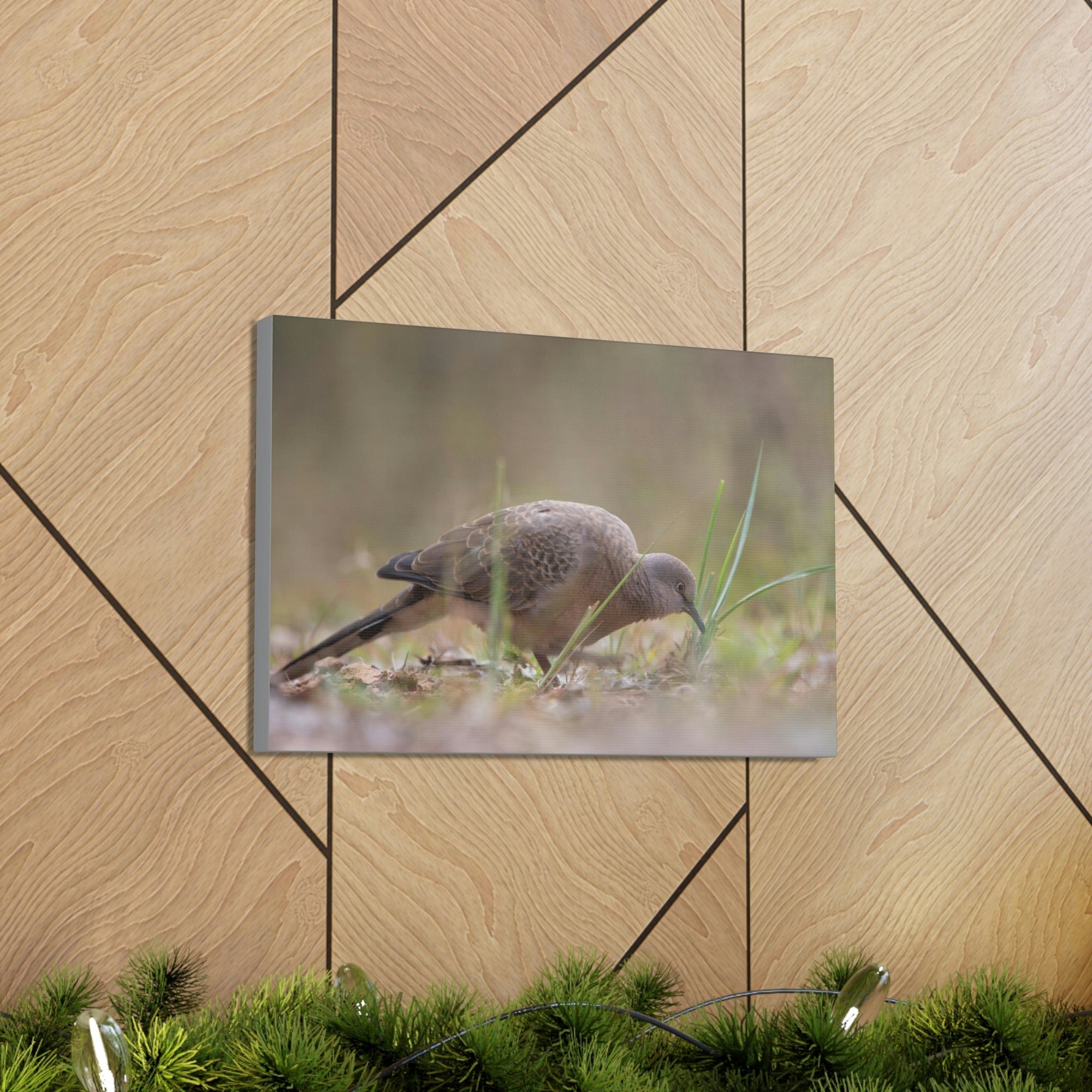 Scripture Walls Zebra Dove Hunting Zebra Dove on Hunt Print Animal Wall Art Wildlife Canvas Prints Wall Art Ready to Hang Unframed-Express Your Love Gifts